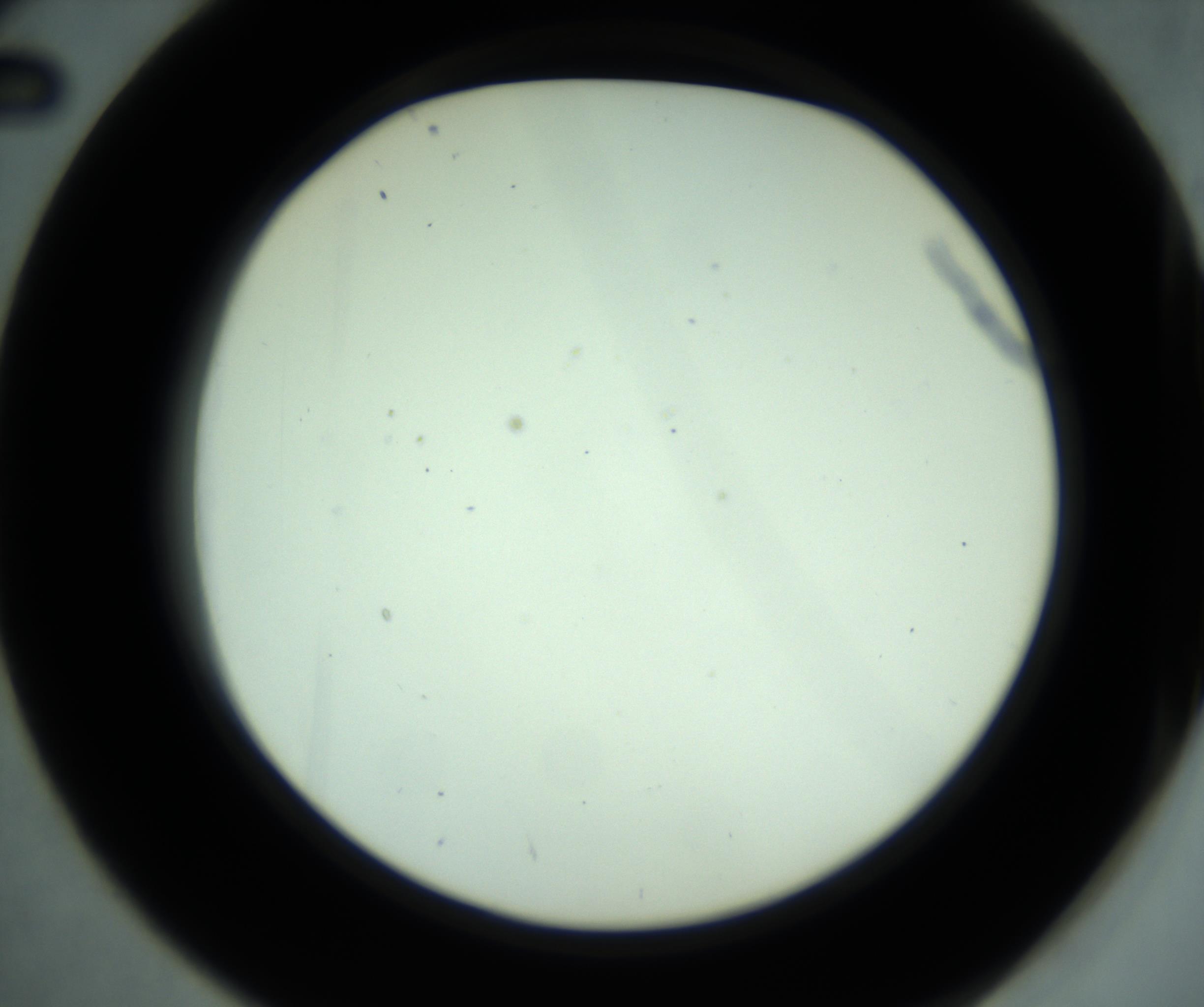 RI01_03_000_0212_Proj1_Clon1_MC_0000MC102880_001_161021_02_04_02_00_98_002_001_RAI.jpg