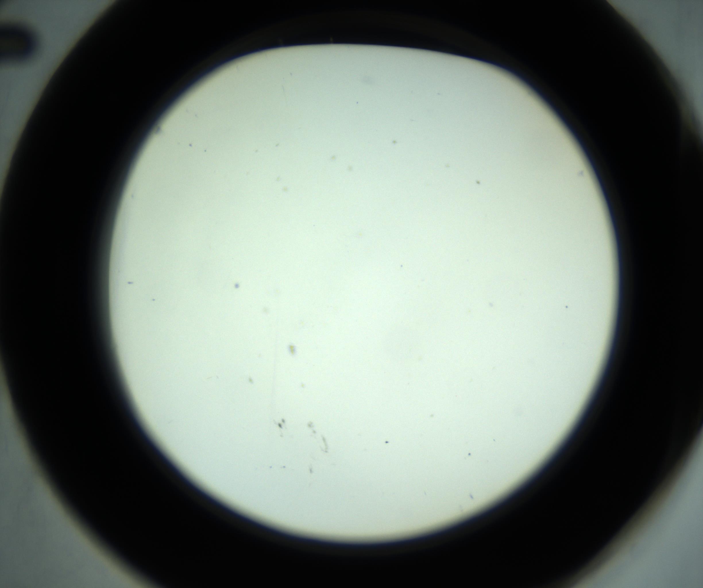 RI01_03_000_0212_Proj1_Clon1_MC_0000MC102880_001_161021_02_05_02_00_98_002_001_RAI.jpg