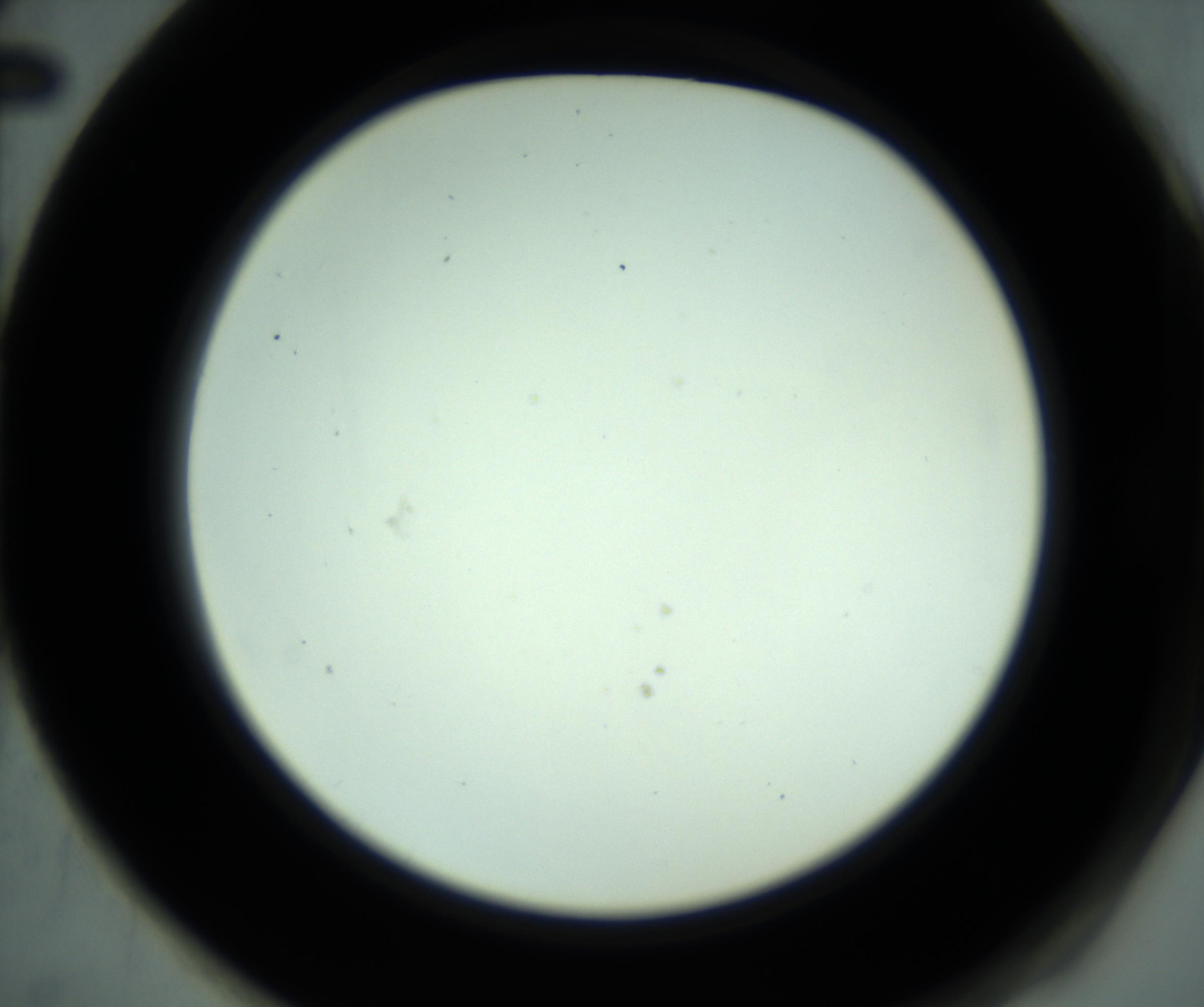 RI01_03_000_0212_Proj1_Clon1_MC_0000MC102880_001_161021_02_06_02_00_98_002_001_RAI.jpg