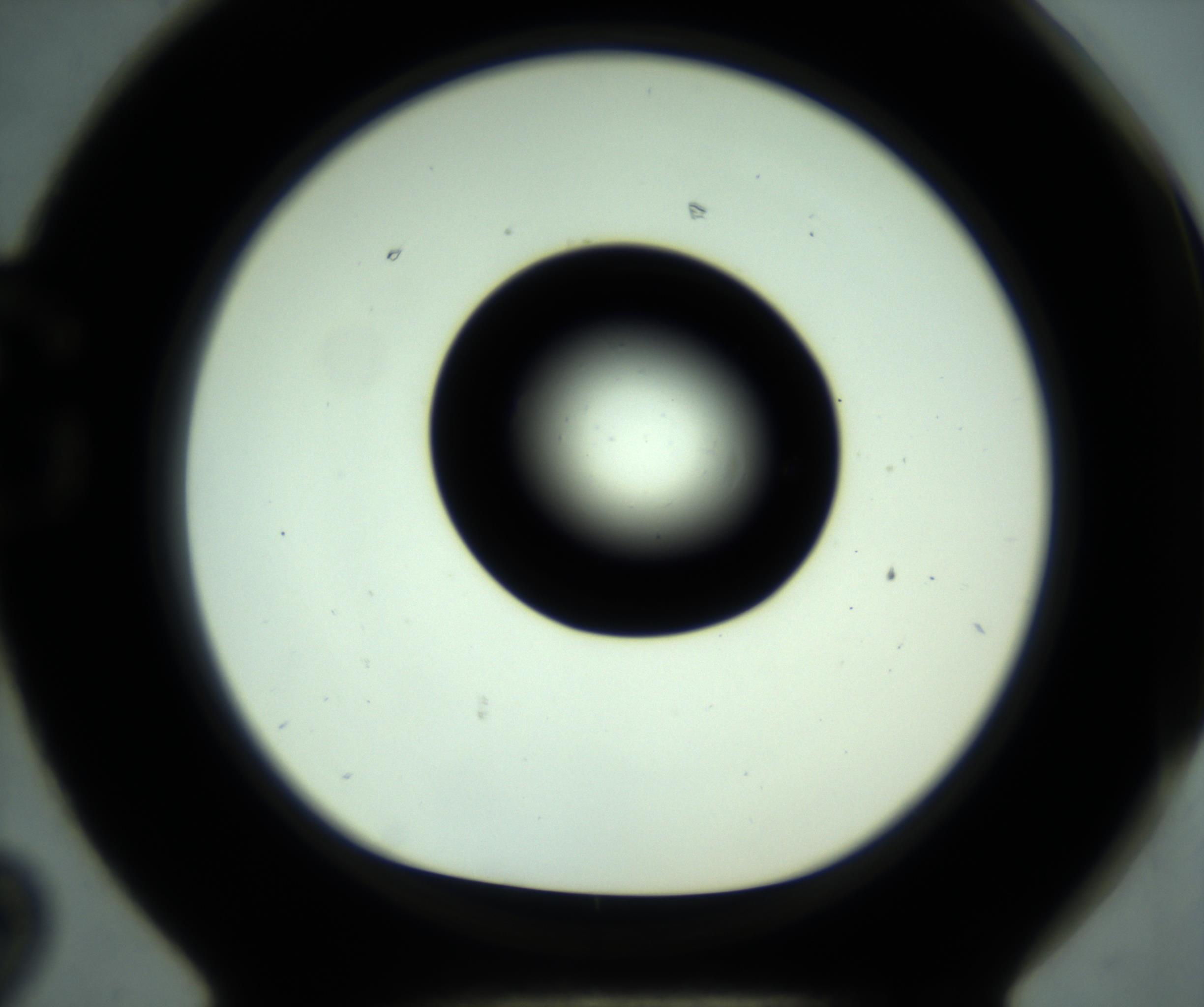 RI01_03_000_0212_Proj1_Clon1_MC_0000MC102880_001_161021_02_07_01_00_98_002_001_RAI.jpg