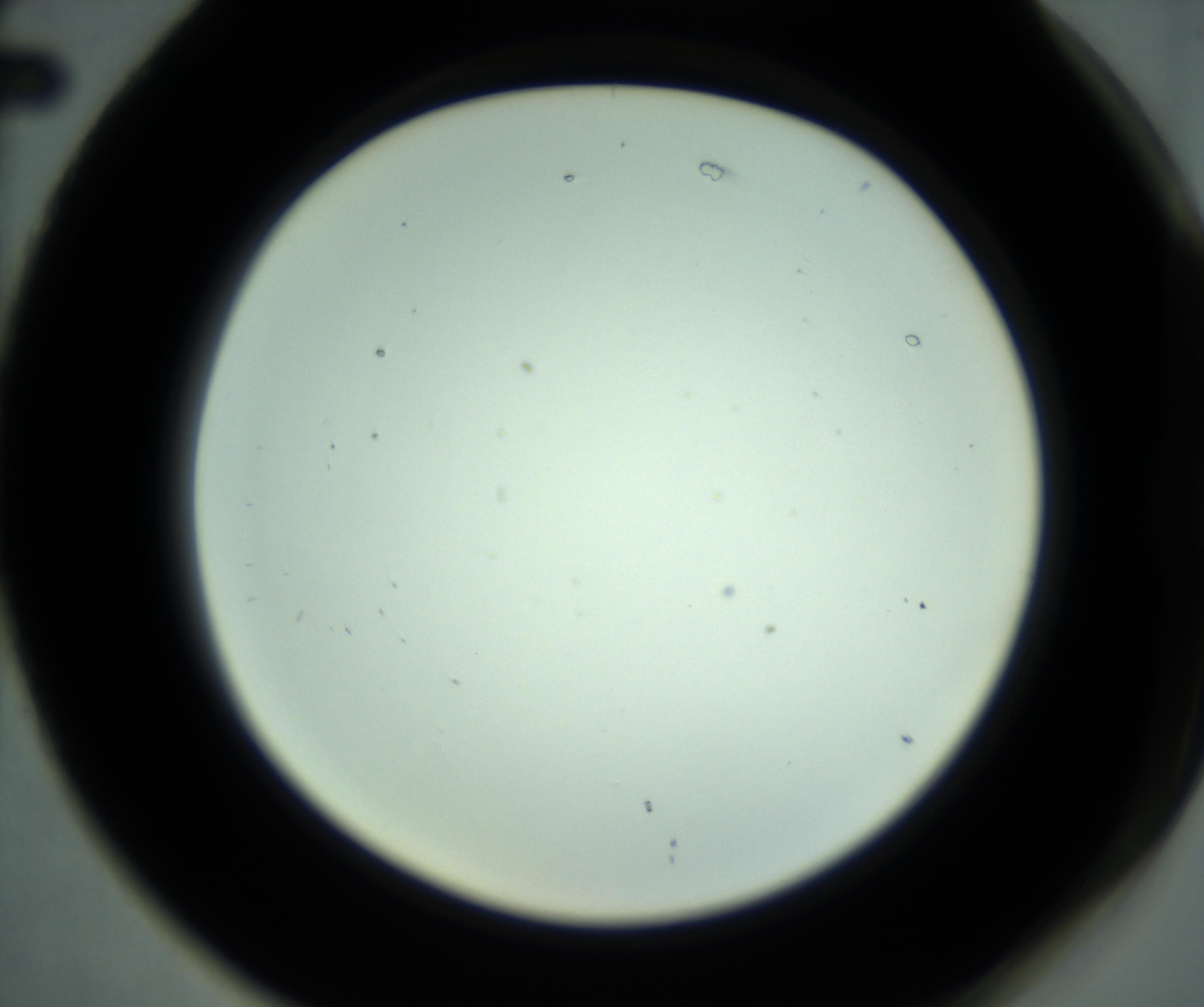 RI01_03_000_0212_Proj1_Clon1_MC_0000MC102880_001_161021_02_07_02_00_98_002_001_RAI.jpg