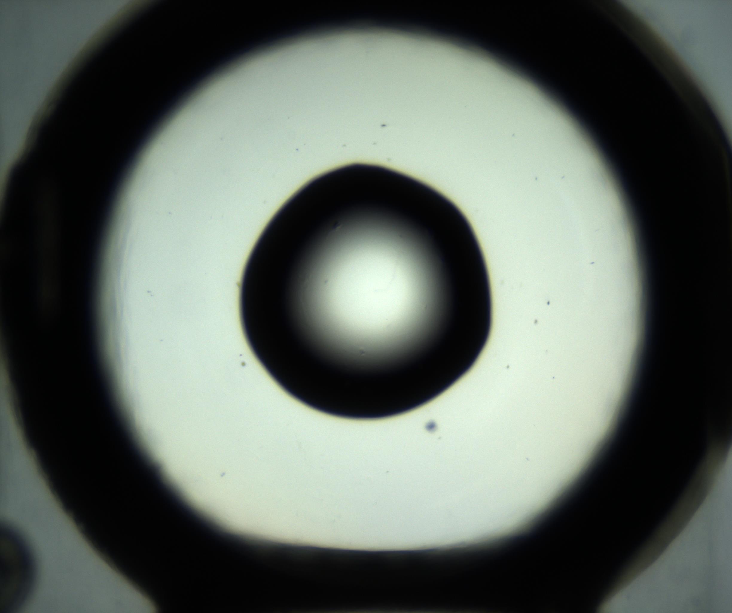 RI01_03_000_0212_Proj1_Clon1_MC_0000MC102880_001_161021_02_08_01_00_98_002_001_RAI.jpg