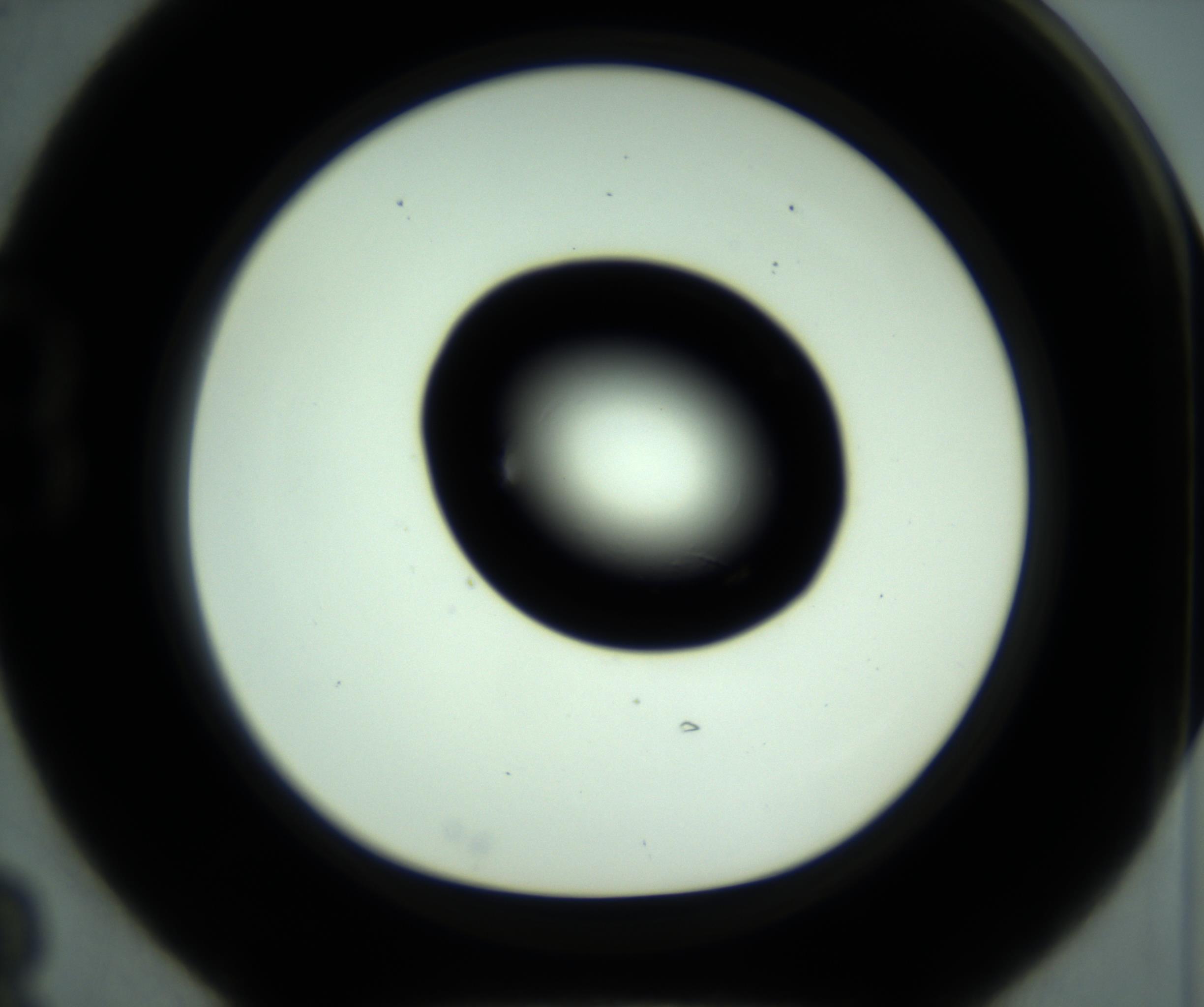 RI01_03_000_0212_Proj1_Clon1_MC_0000MC102880_001_161021_03_02_01_00_98_002_001_RAI.jpg