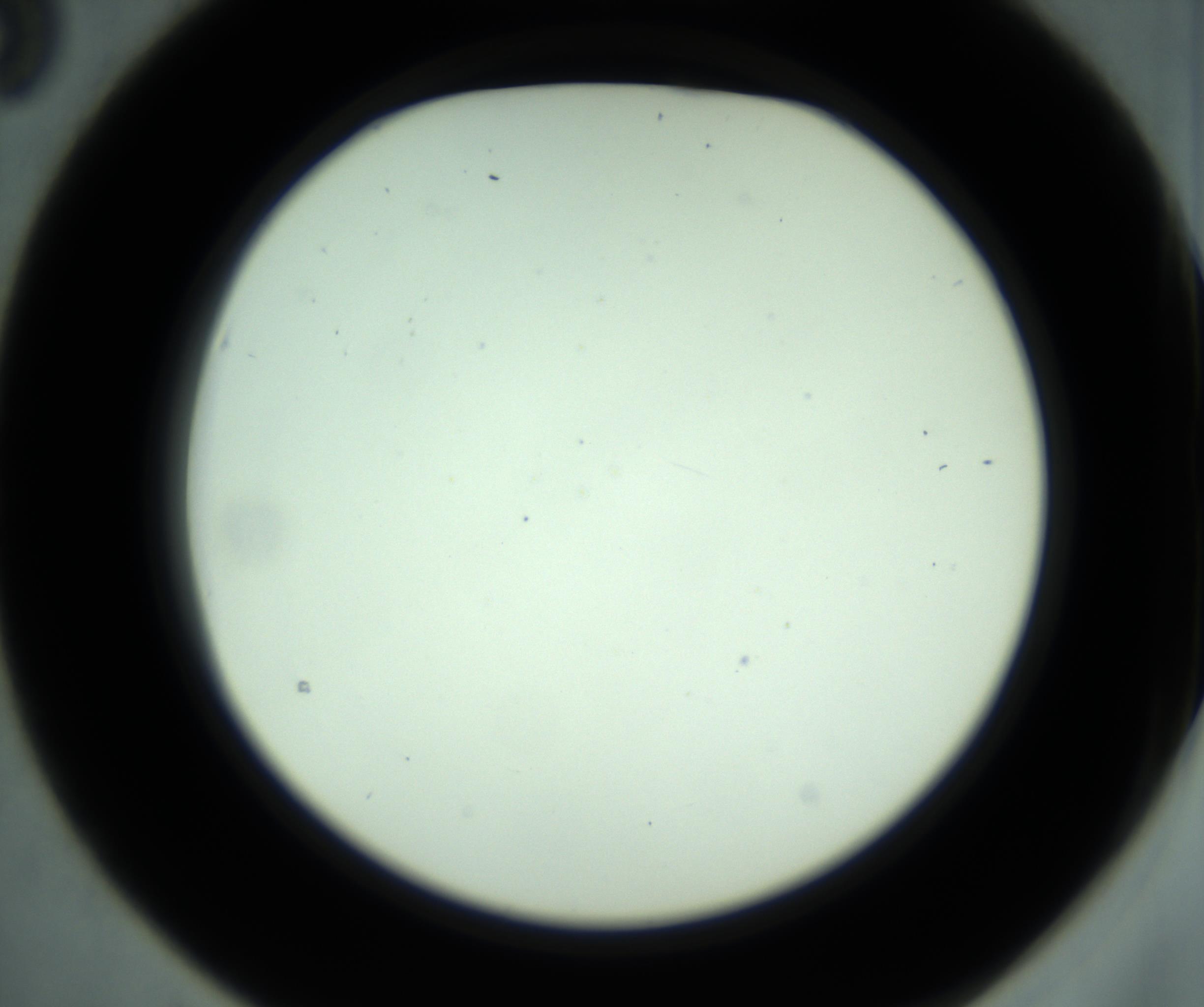 RI01_03_000_0212_Proj1_Clon1_MC_0000MC102880_001_161021_03_02_02_00_98_002_001_RAI.jpg