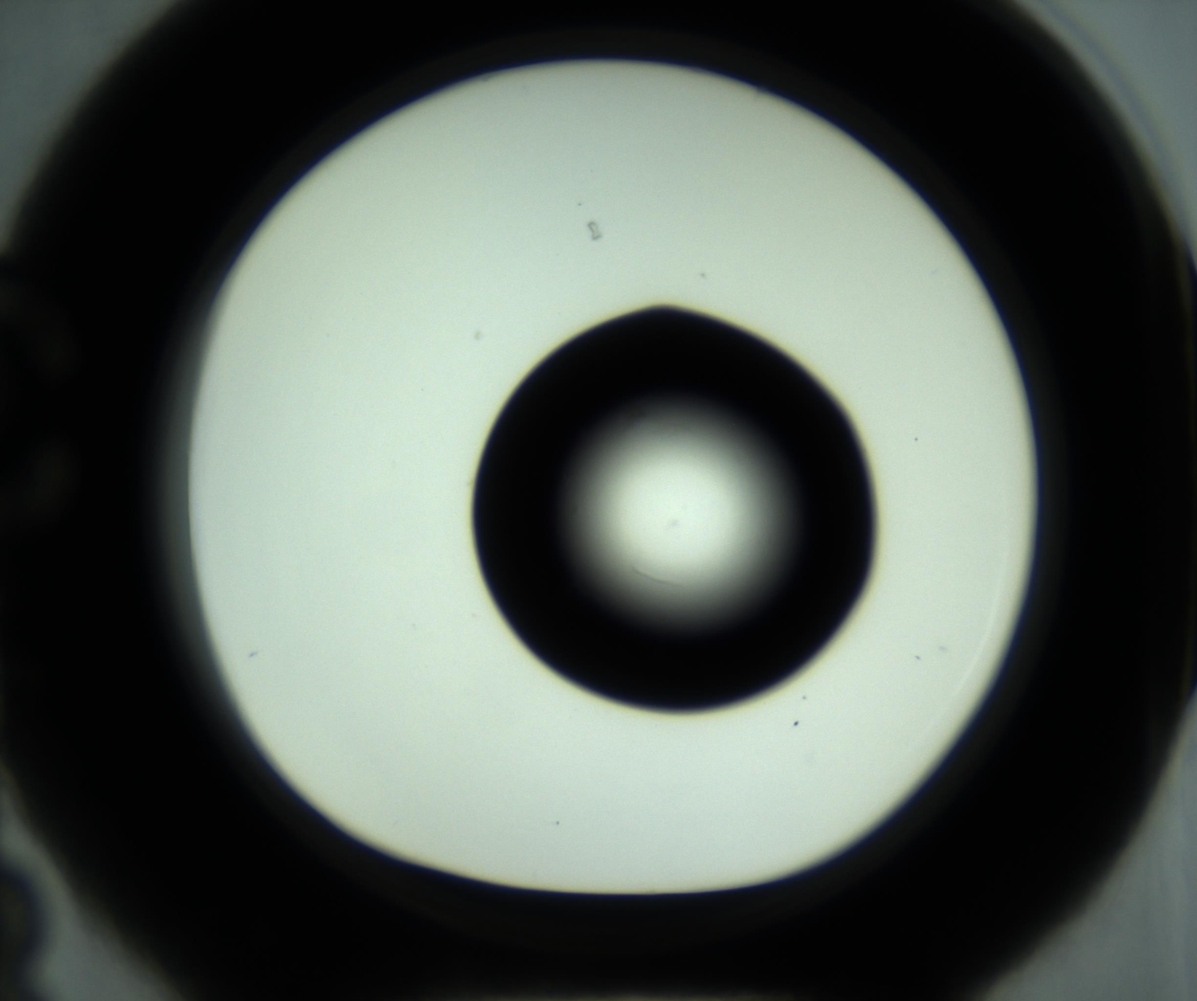 RI01_03_000_0212_Proj1_Clon1_MC_0000MC102880_001_161021_03_03_01_00_98_002_001_RAI.jpg