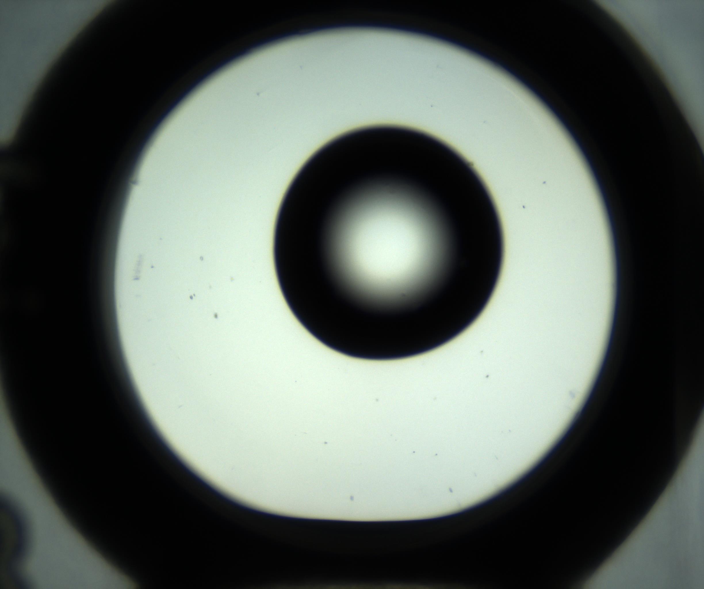 RI01_03_000_0212_Proj1_Clon1_MC_0000MC102880_001_161021_03_05_01_00_98_002_001_RAI.jpg