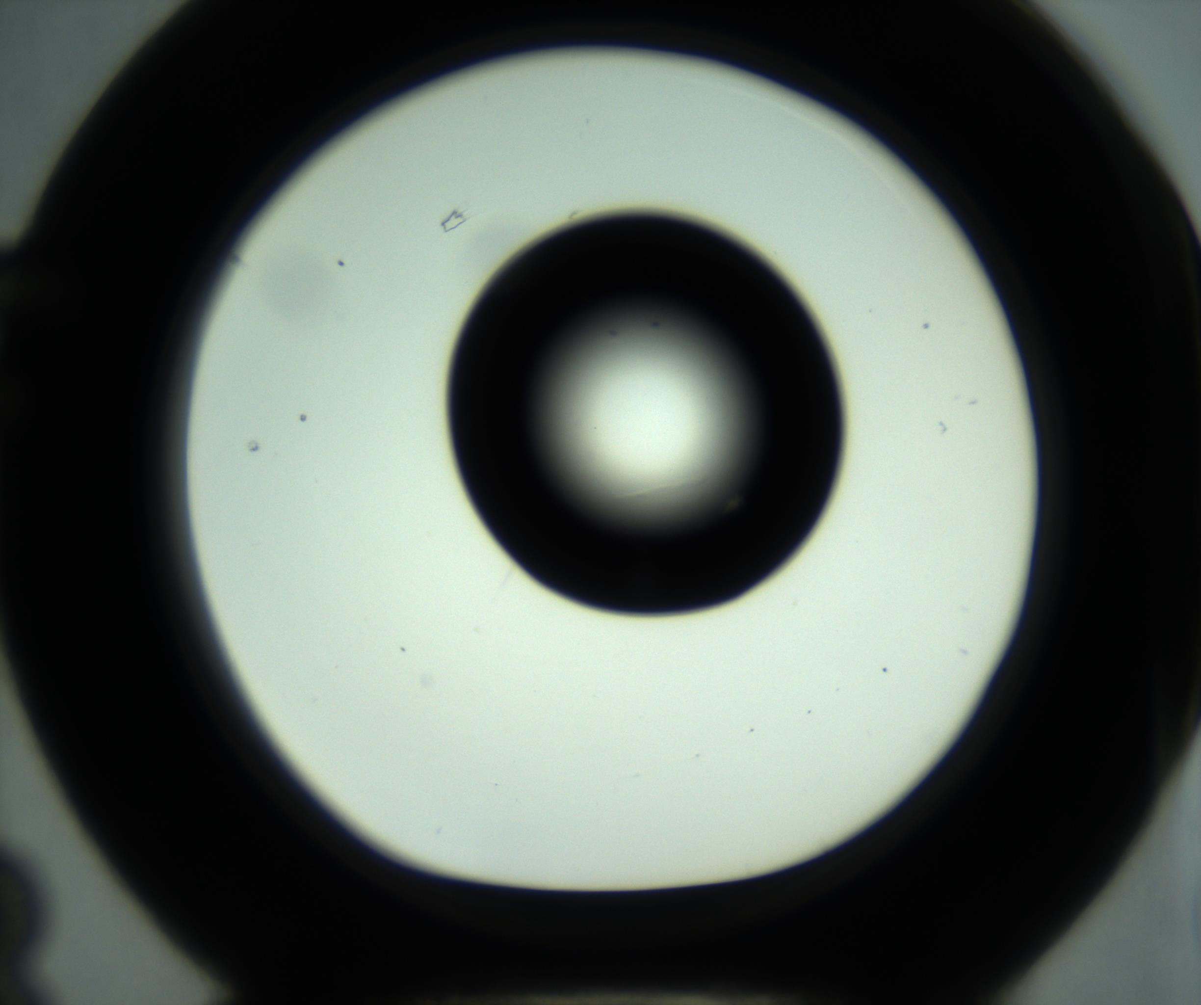 RI01_03_000_0212_Proj1_Clon1_MC_0000MC102880_001_161021_03_06_01_00_98_002_001_RAI.jpg