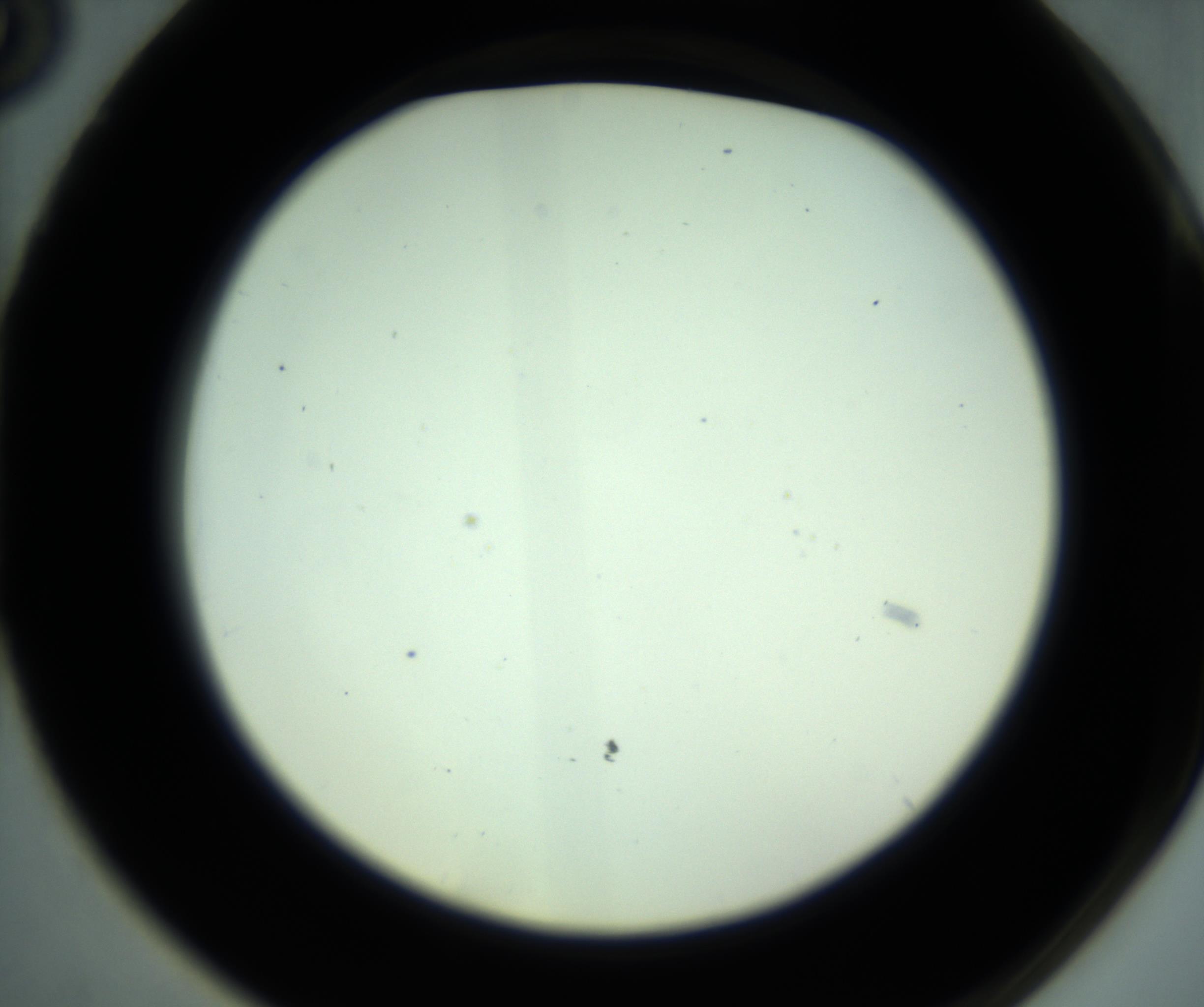 RI01_03_000_0212_Proj1_Clon1_MC_0000MC102880_001_161021_03_07_02_00_98_002_001_RAI.jpg