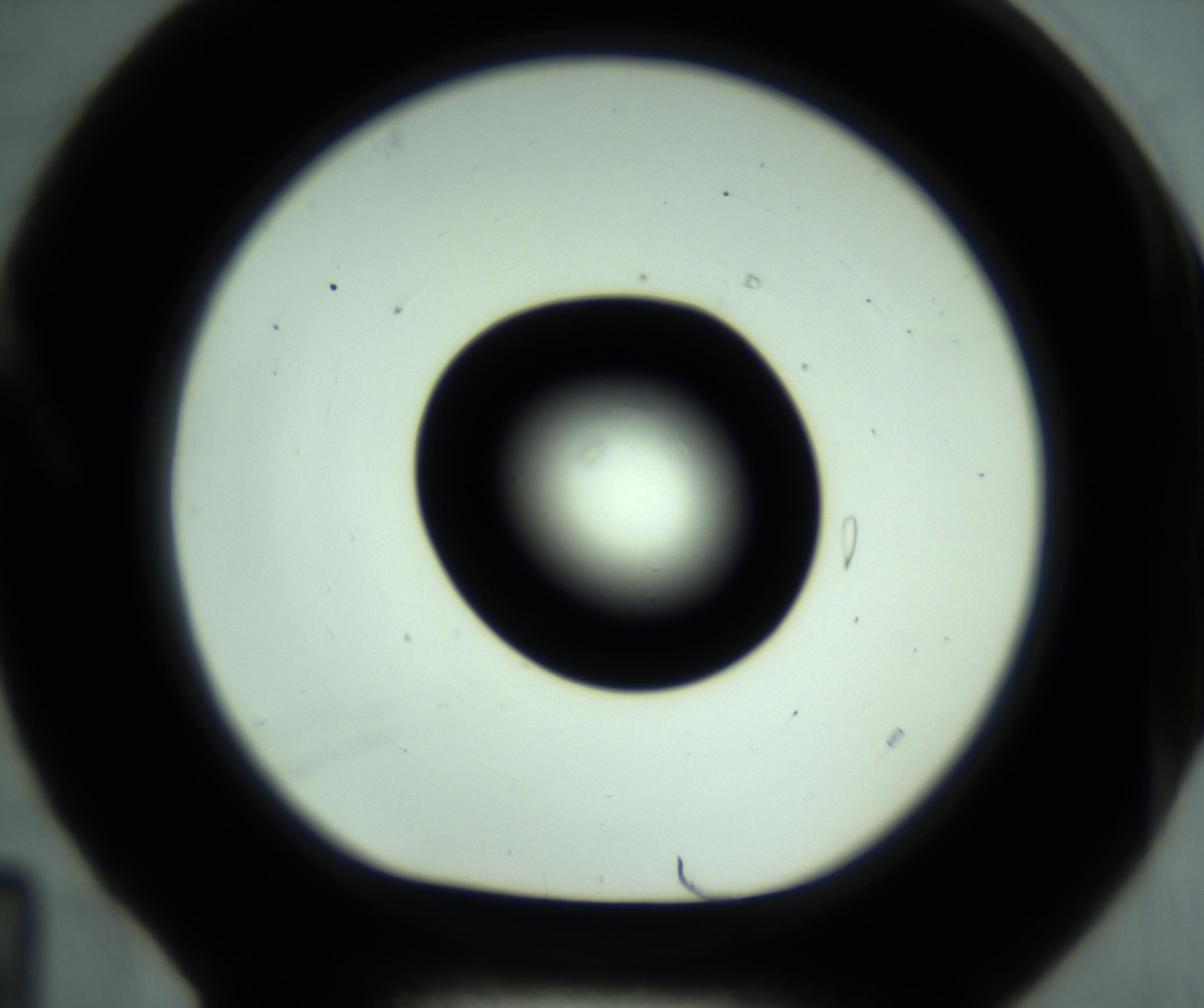 RI01_03_000_0212_Proj1_Clon1_MC_0000MC102880_001_161021_04_01_01_00_98_002_001_RAI.jpg