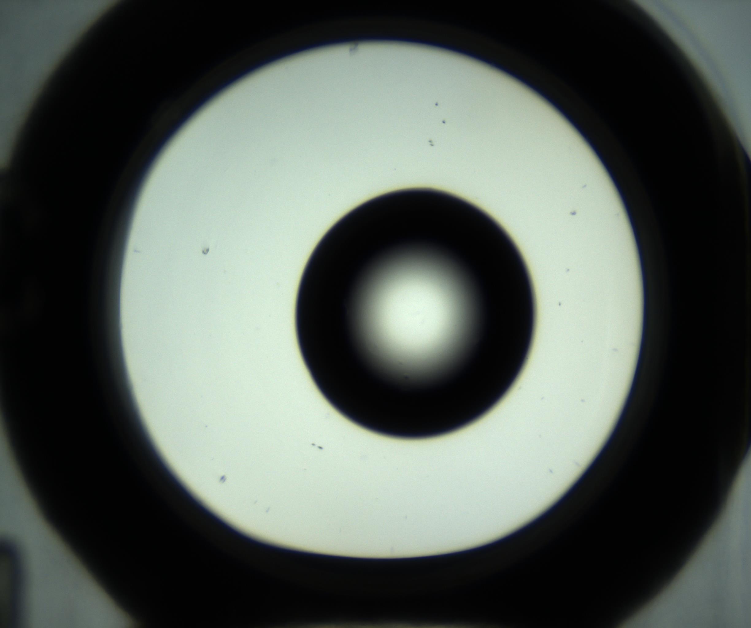 RI01_03_000_0212_Proj1_Clon1_MC_0000MC102880_001_161021_04_03_01_00_98_002_001_RAI.jpg