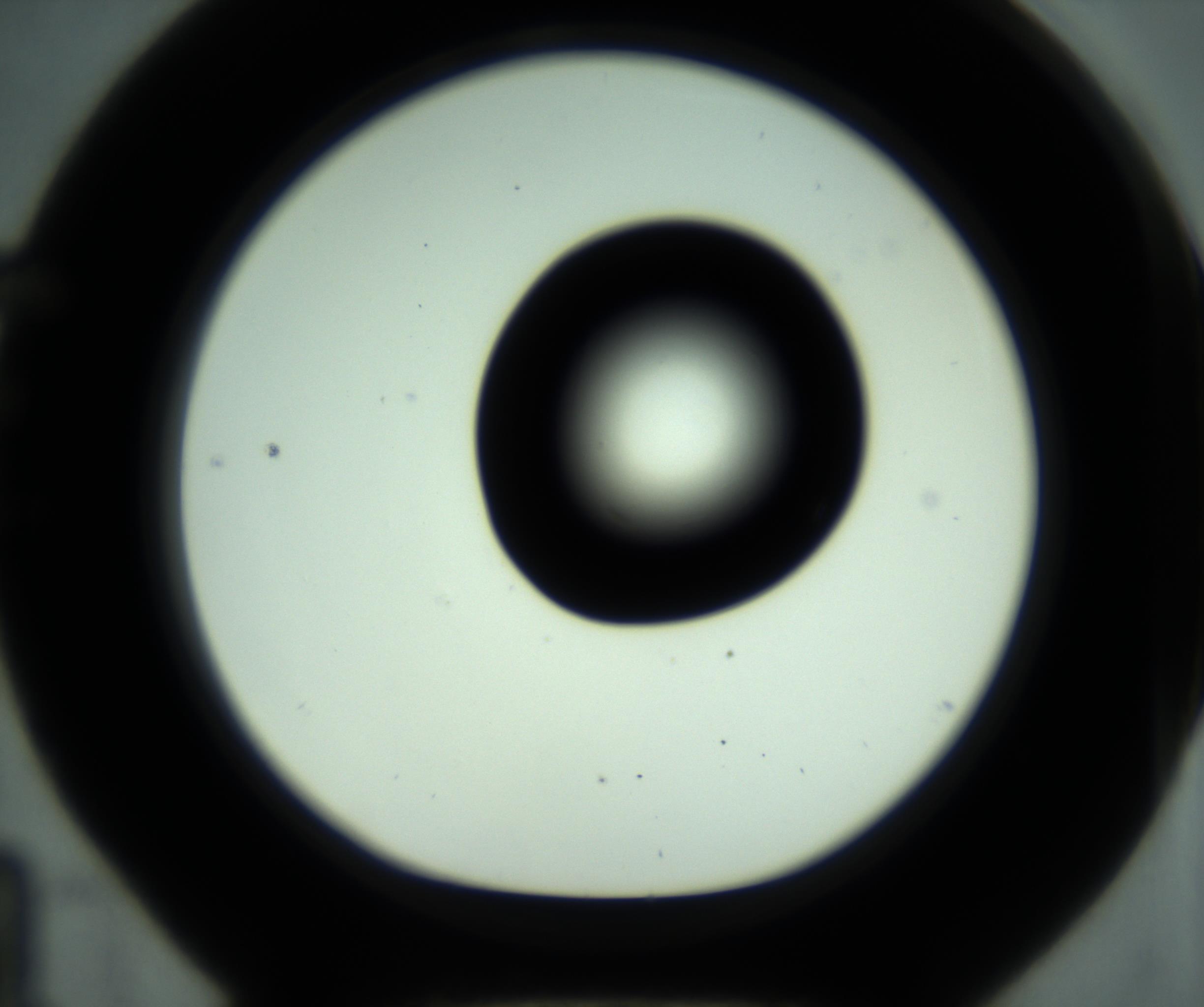 RI01_03_000_0212_Proj1_Clon1_MC_0000MC102880_001_161021_04_05_01_00_98_002_001_RAI.jpg