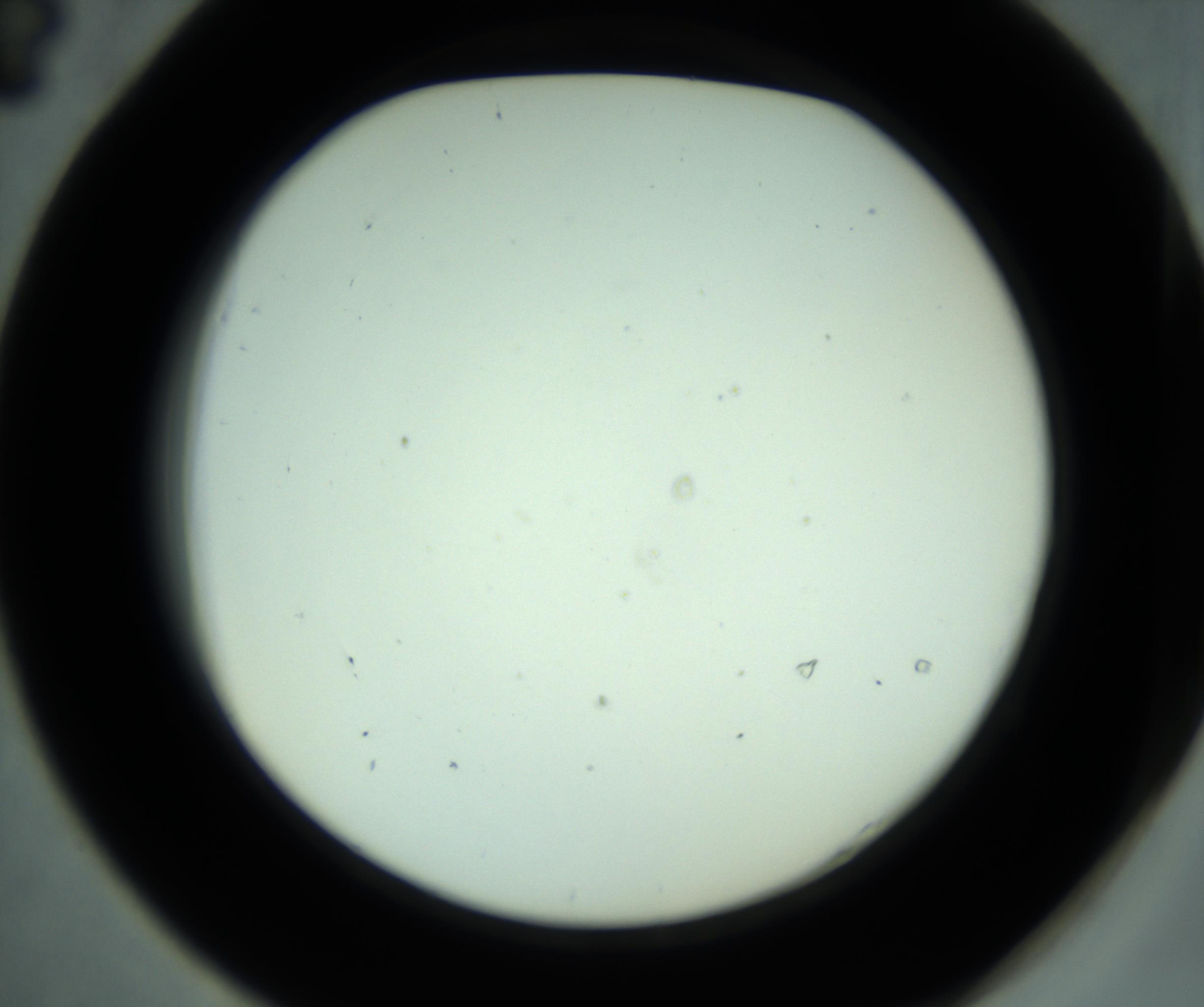 RI01_03_000_0212_Proj1_Clon1_MC_0000MC102880_001_161021_04_05_02_00_98_002_001_RAI.jpg