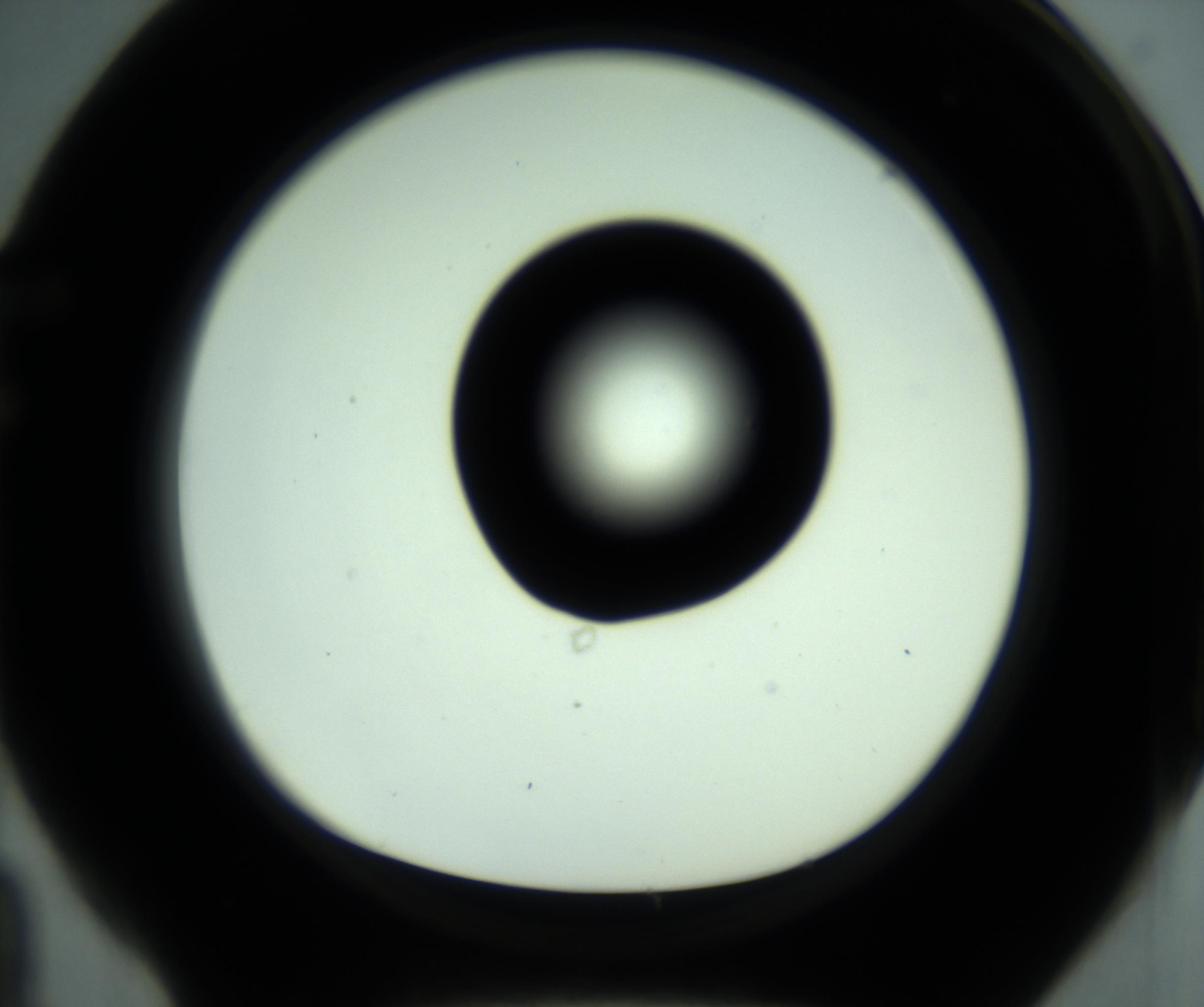 RI01_03_000_0212_Proj1_Clon1_MC_0000MC102880_001_161021_04_06_01_00_98_002_001_RAI.jpg
