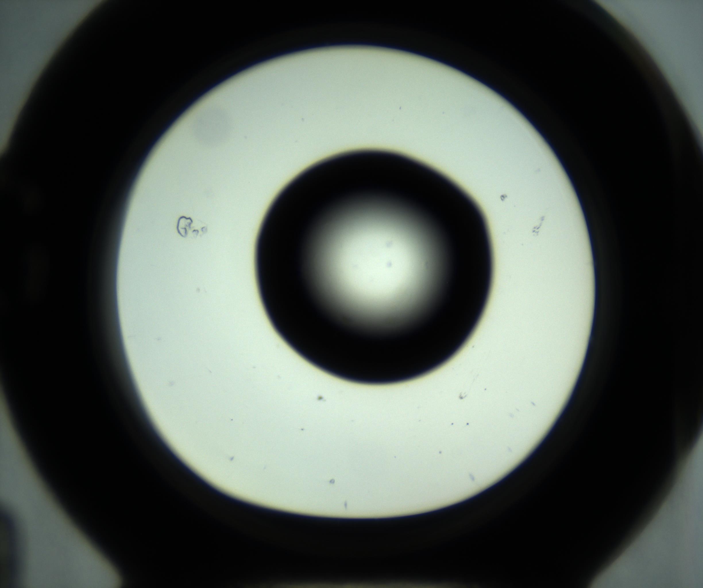 RI01_03_000_0212_Proj1_Clon1_MC_0000MC102880_001_161021_04_07_01_00_98_002_001_RAI.jpg