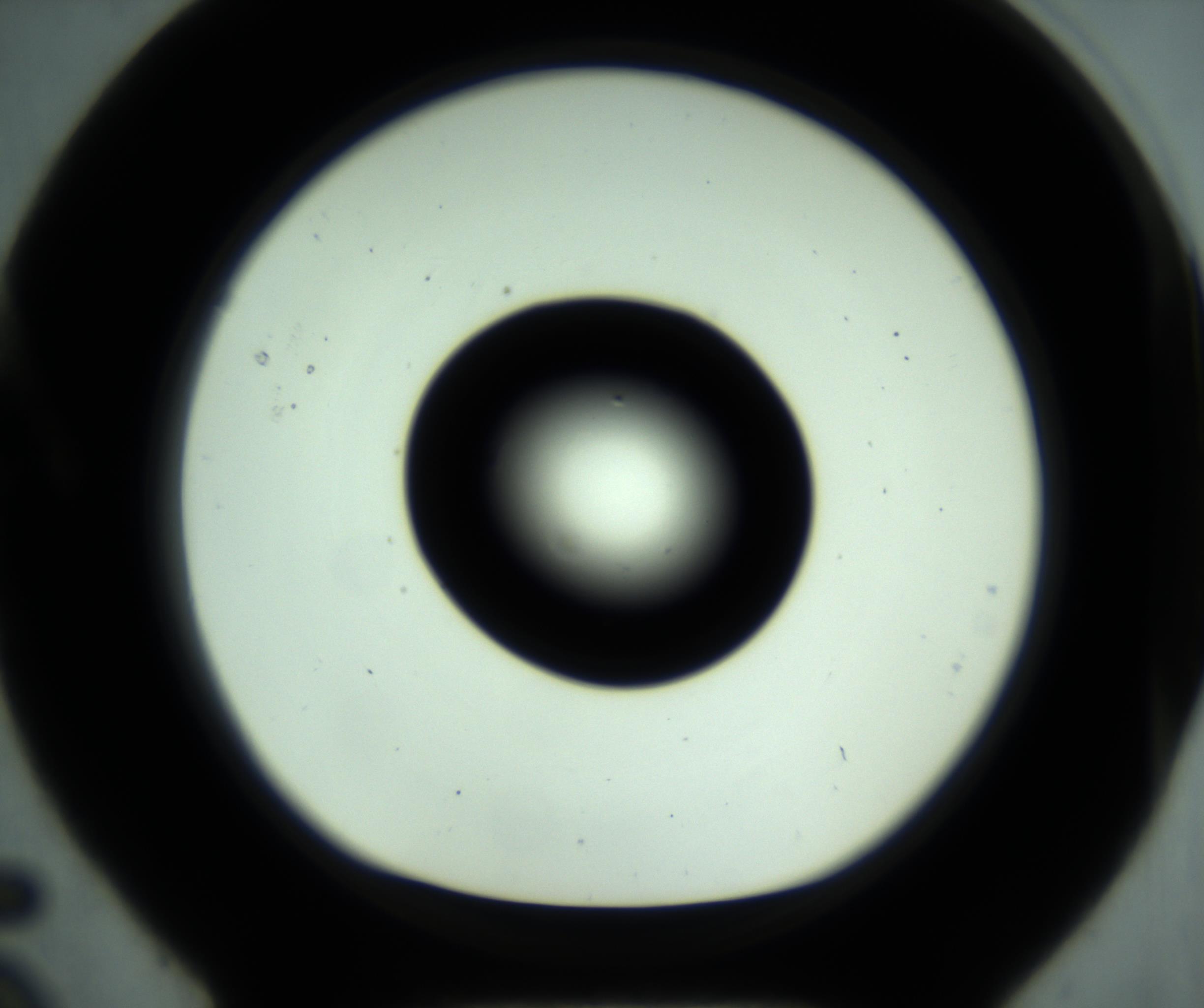 RI01_03_000_0212_Proj1_Clon1_MC_0000MC102880_001_161021_05_01_01_00_98_002_001_RAI.jpg