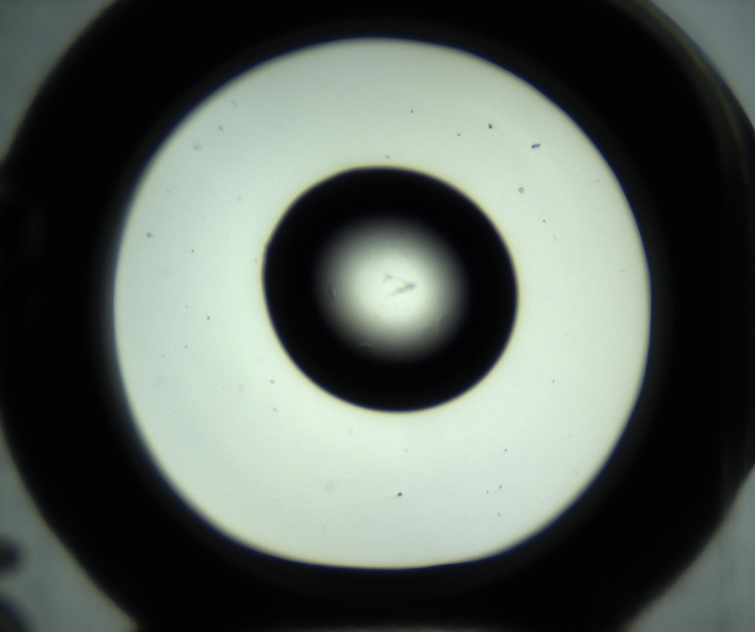 RI01_03_000_0212_Proj1_Clon1_MC_0000MC102880_001_161021_05_02_01_00_98_002_001_RAI.jpg
