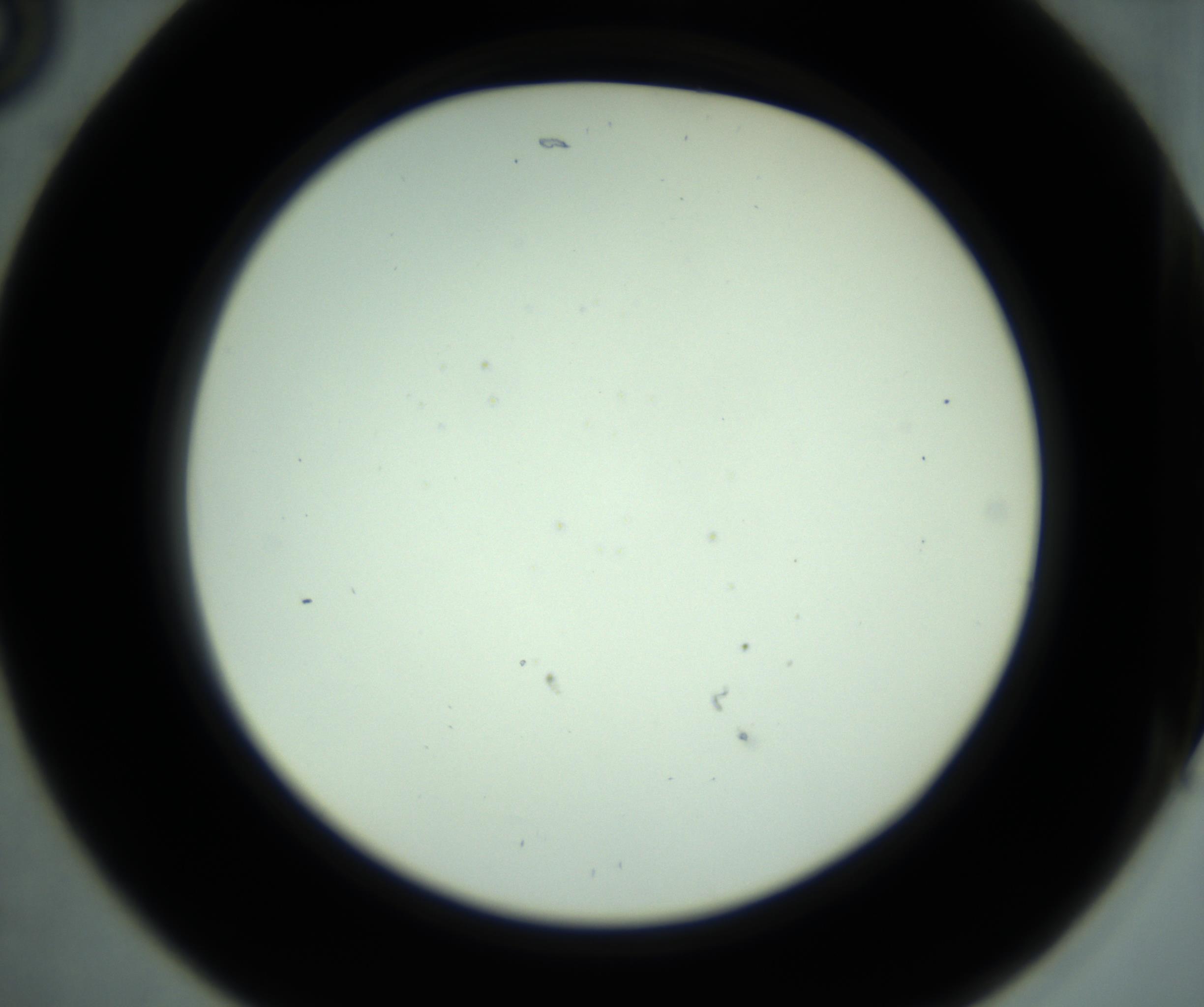 RI01_03_000_0212_Proj1_Clon1_MC_0000MC102880_001_161021_05_02_02_00_98_002_001_RAI.jpg