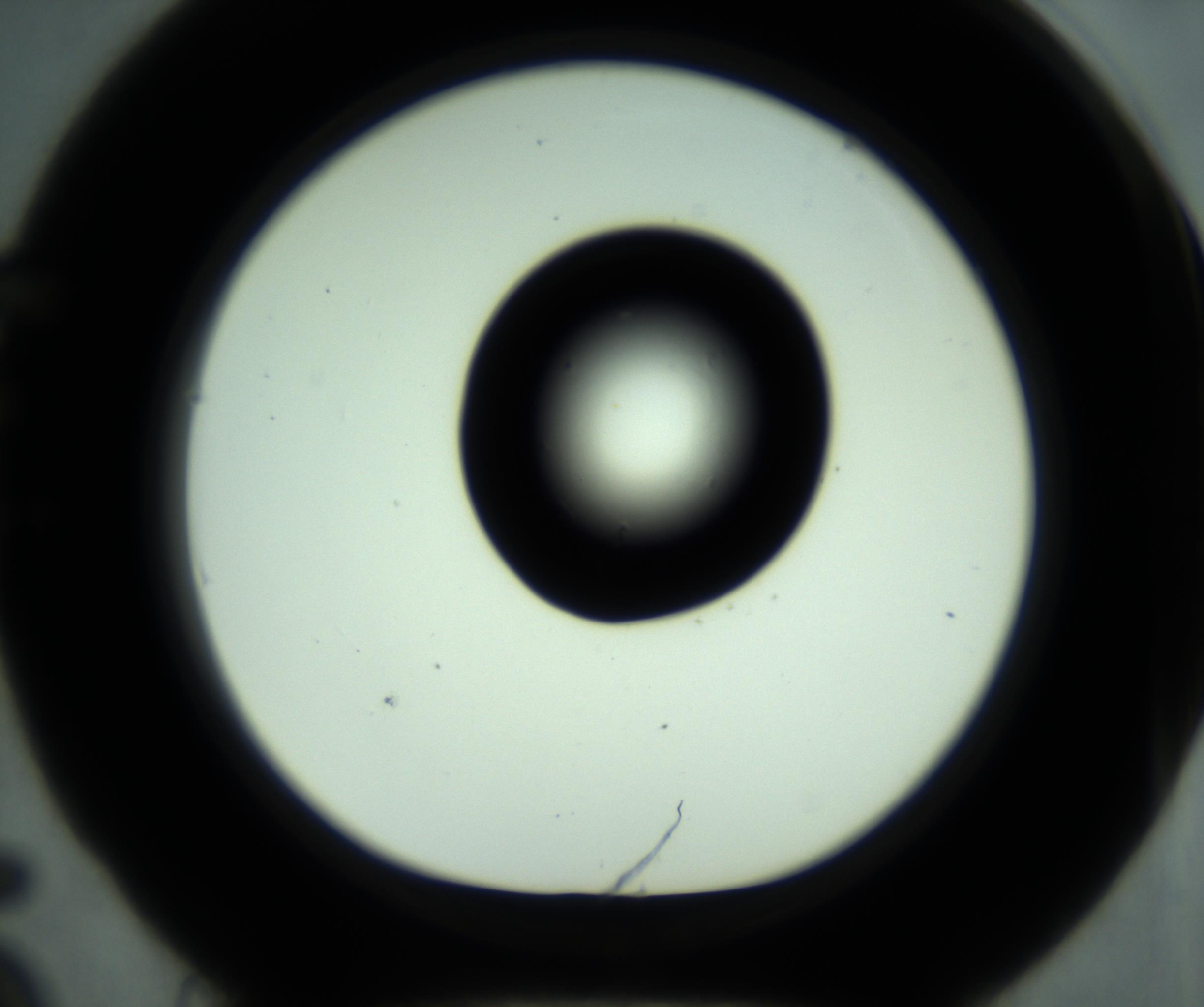 RI01_03_000_0212_Proj1_Clon1_MC_0000MC102880_001_161021_05_05_01_00_98_002_001_RAI.jpg