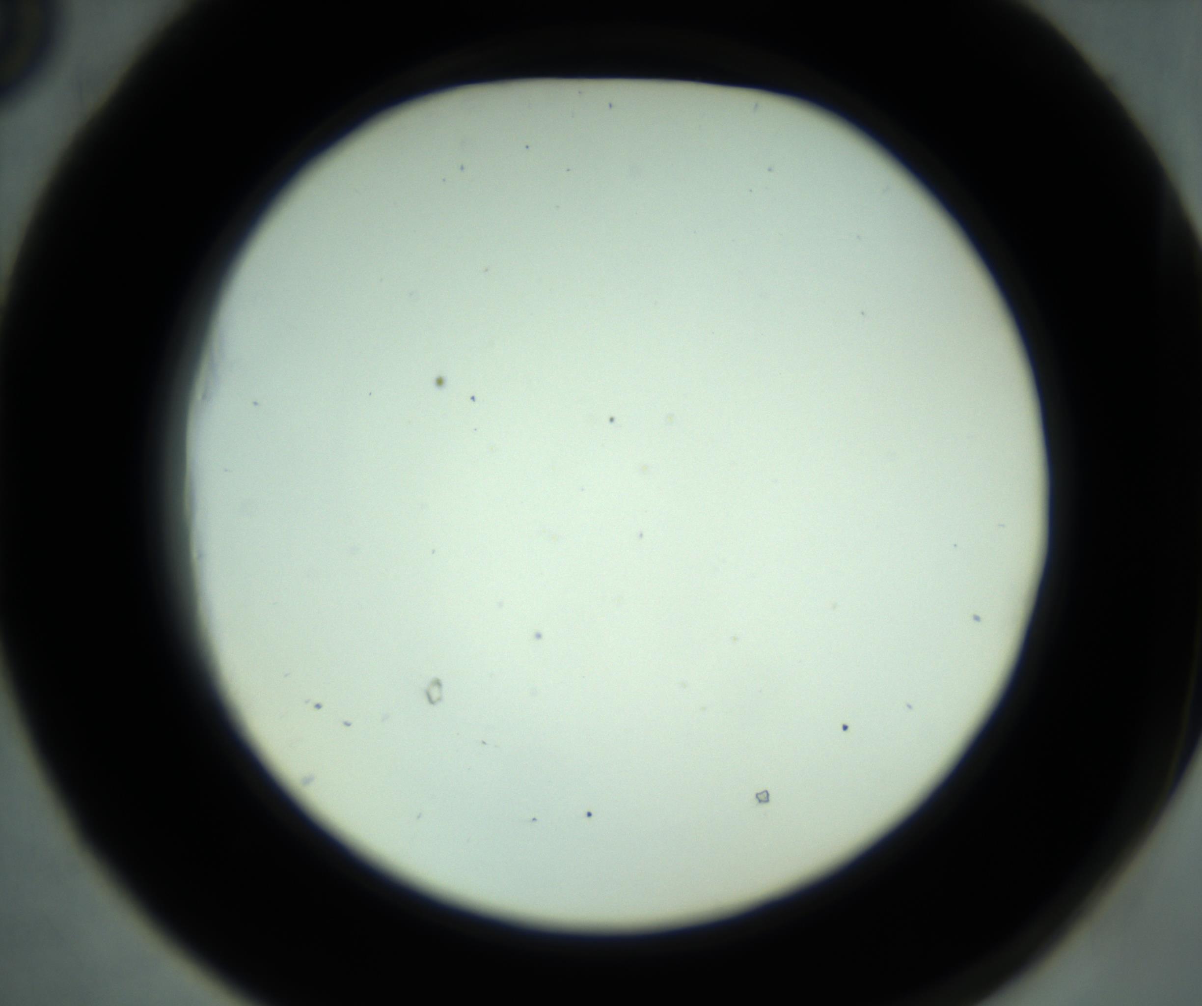 RI01_03_000_0212_Proj1_Clon1_MC_0000MC102880_001_161021_05_05_02_00_98_002_001_RAI.jpg