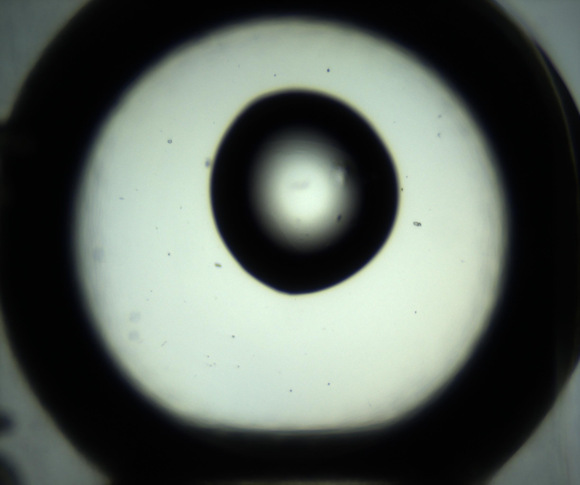 RI01_03_000_0212_Proj1_Clon1_MC_0000MC102880_001_161021_05_06_01_00_98_002_001_RAI.jpg