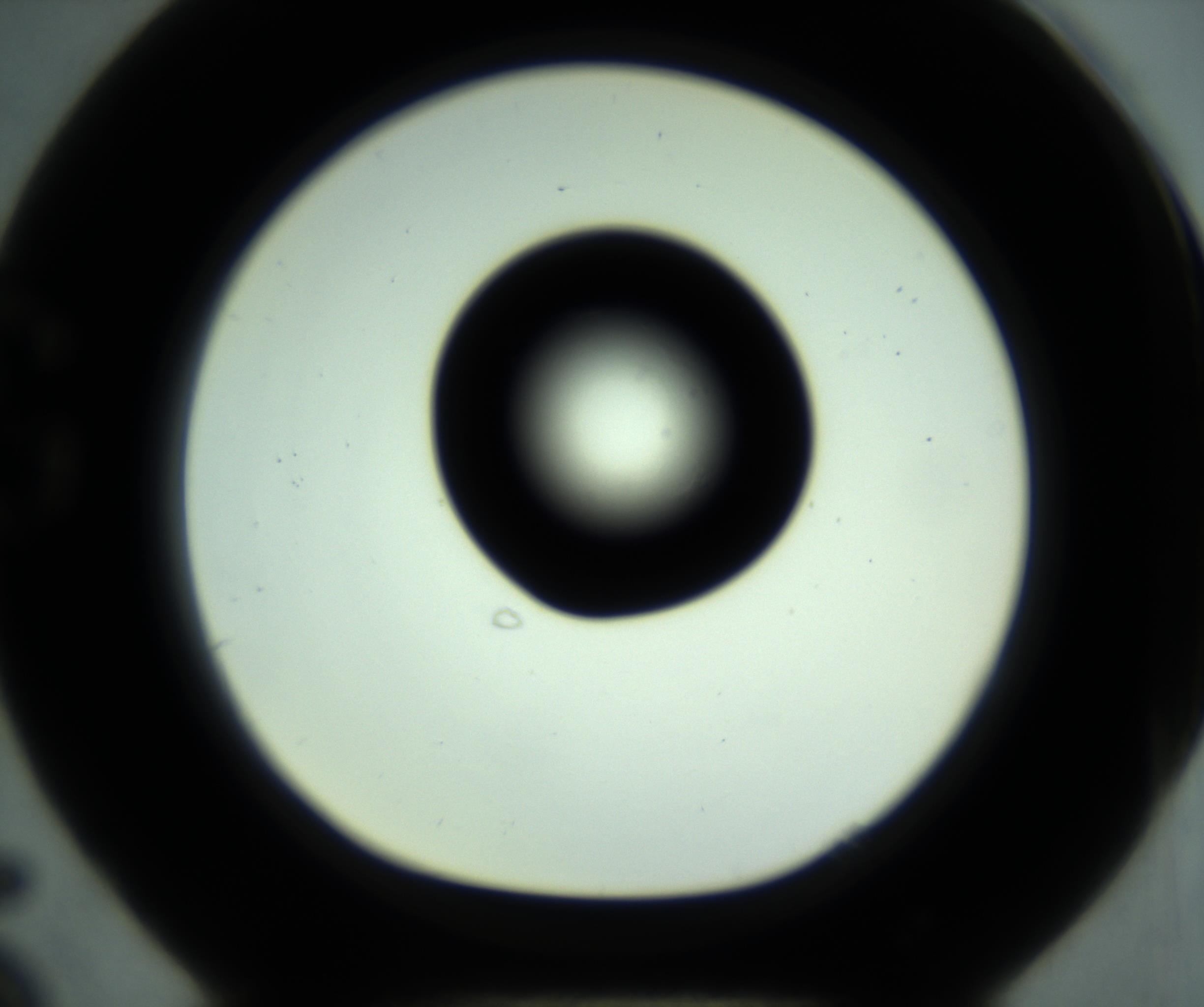 RI01_03_000_0212_Proj1_Clon1_MC_0000MC102880_001_161021_05_07_01_00_98_002_001_RAI.jpg