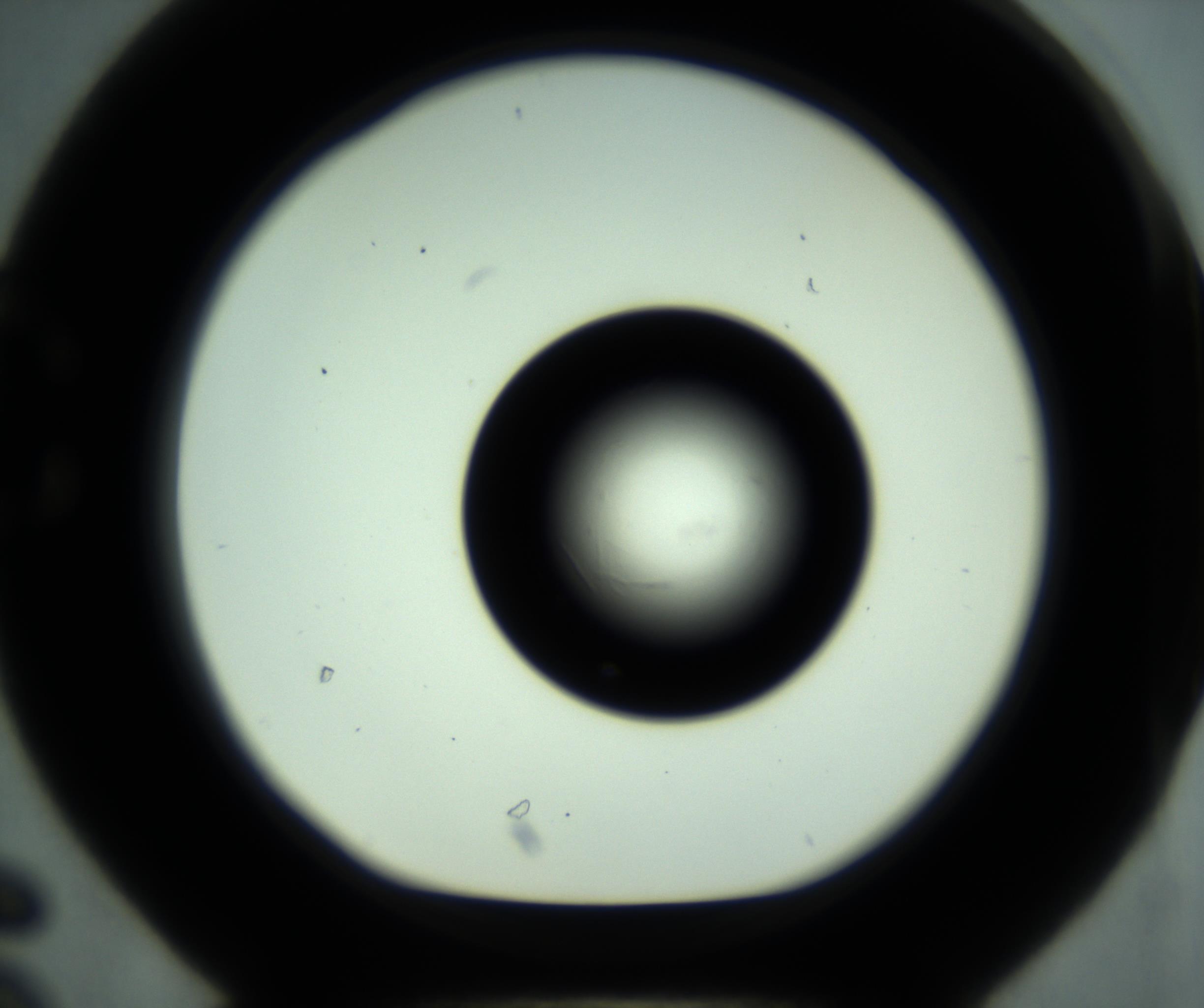 RI01_03_000_0212_Proj1_Clon1_MC_0000MC102880_001_161021_06_03_01_00_98_002_001_RAI.jpg