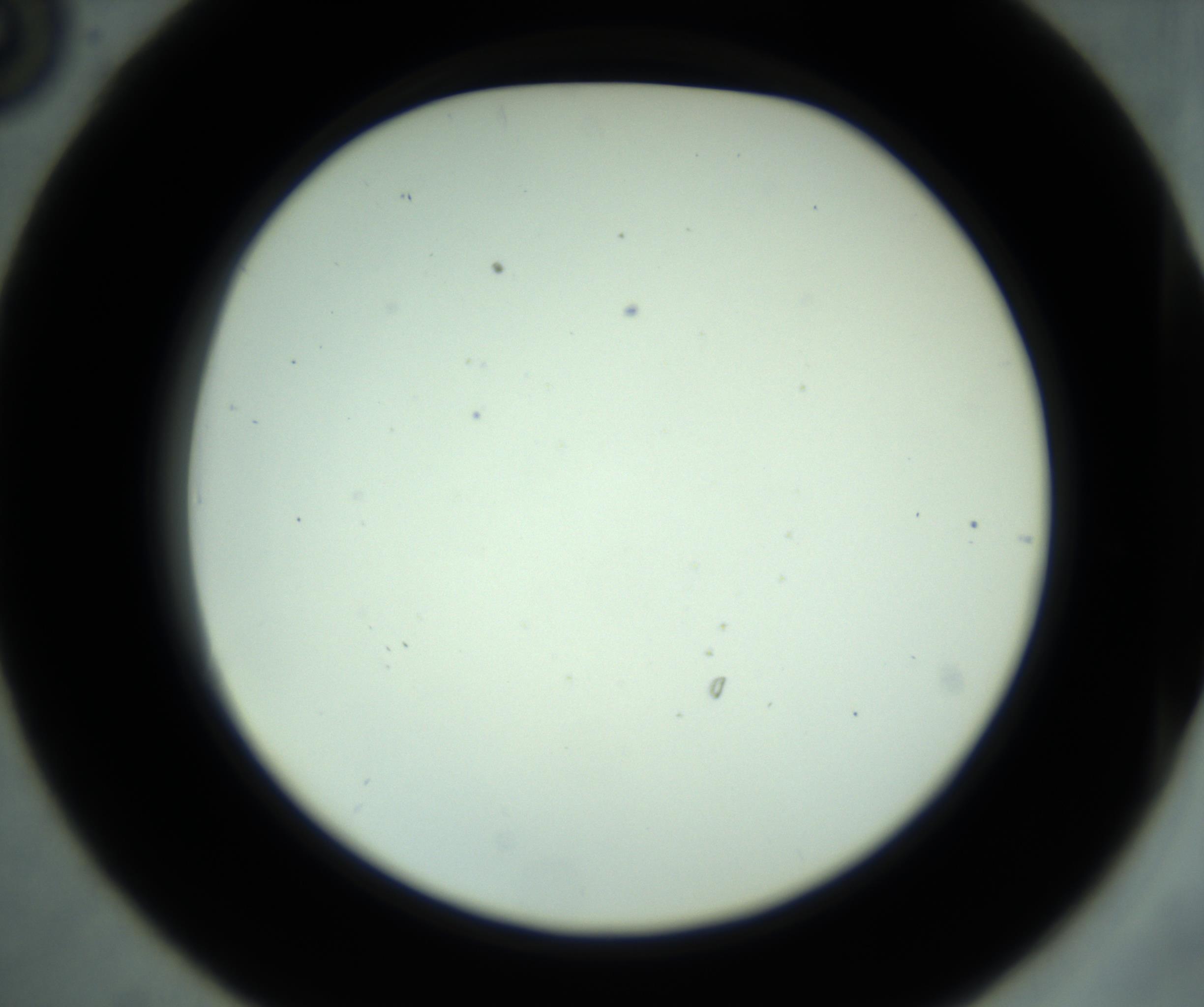 RI01_03_000_0212_Proj1_Clon1_MC_0000MC102880_001_161021_06_03_02_00_98_002_001_RAI.jpg