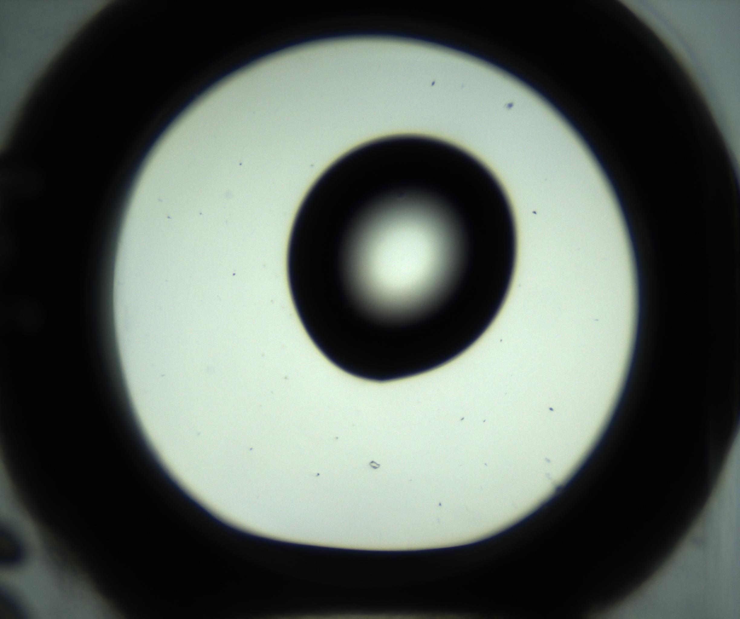 RI01_03_000_0212_Proj1_Clon1_MC_0000MC102880_001_161021_06_05_01_00_98_002_001_RAI.jpg