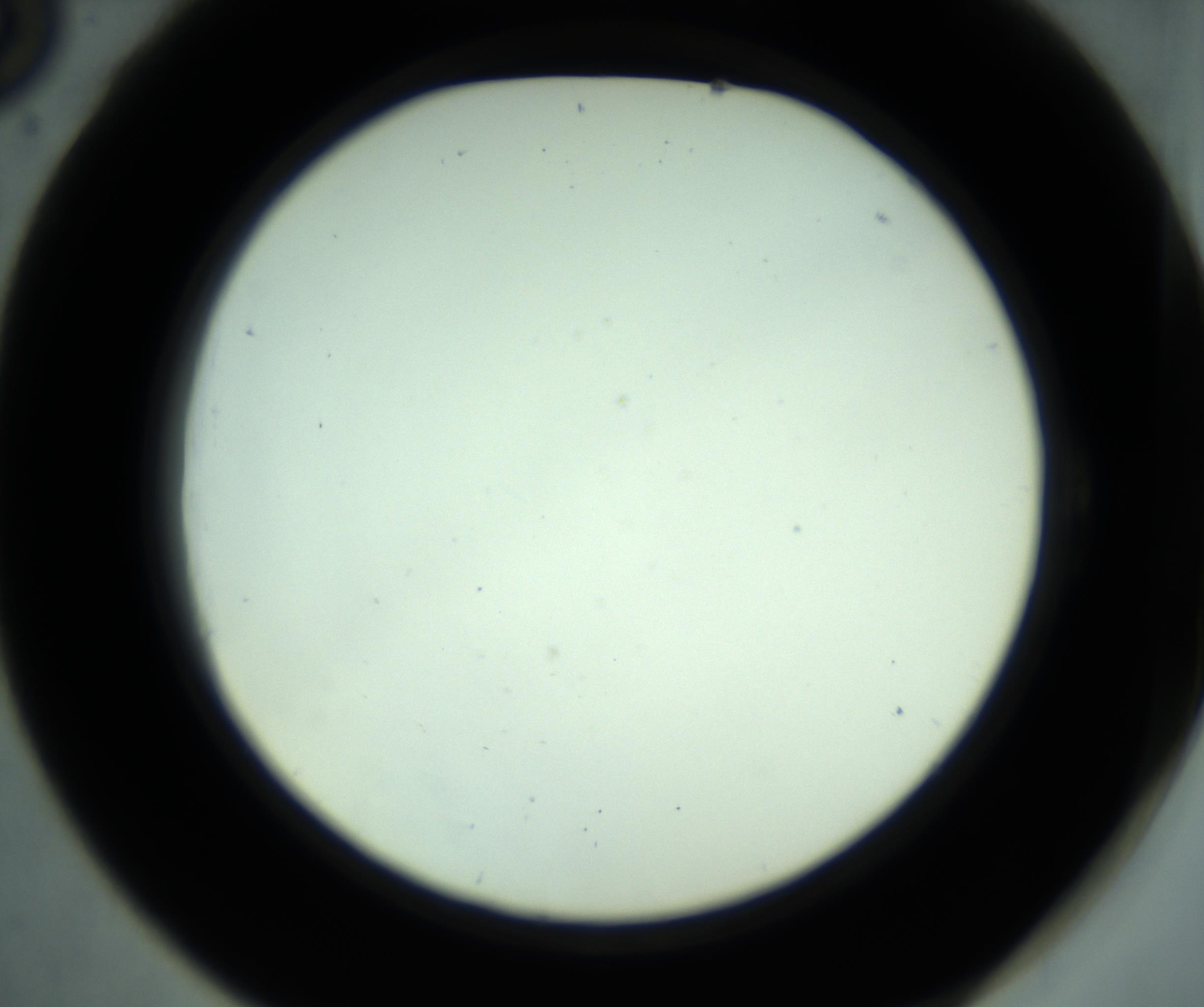 RI01_03_000_0212_Proj1_Clon1_MC_0000MC102880_001_161021_06_05_02_00_98_002_001_RAI.jpg