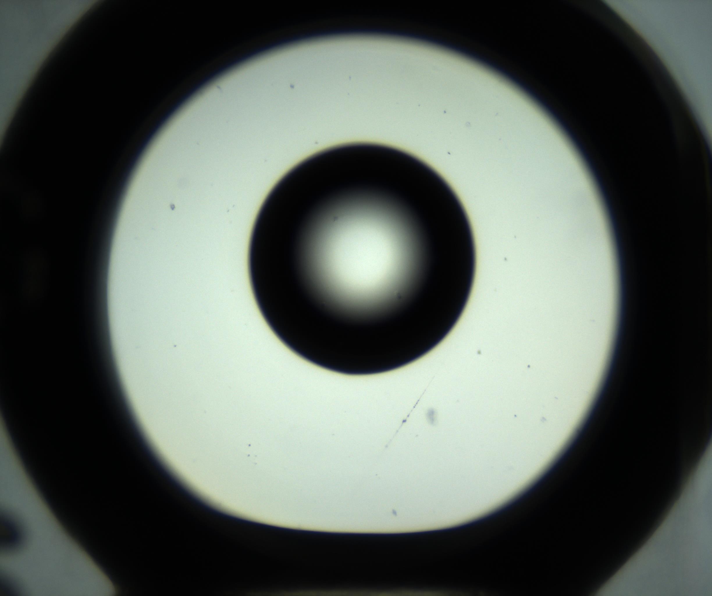 RI01_03_000_0212_Proj1_Clon1_MC_0000MC102880_001_161021_06_07_01_00_98_002_001_RAI.jpg