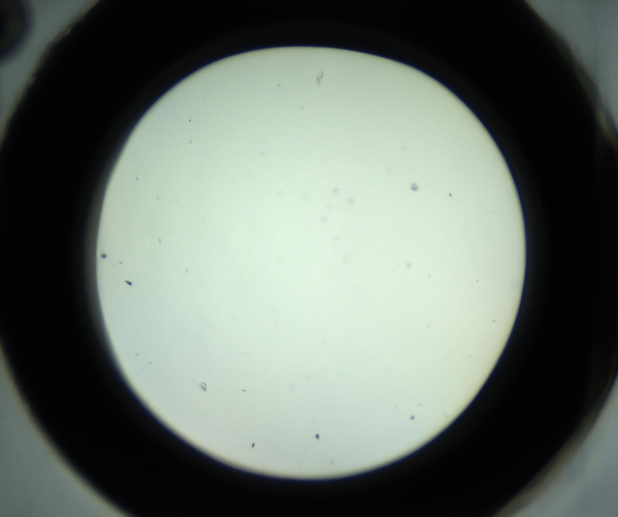 RI01_03_000_0212_Proj1_Clon1_MC_0000MC102880_001_161021_06_08_02_00_98_002_001_RAI.jpg