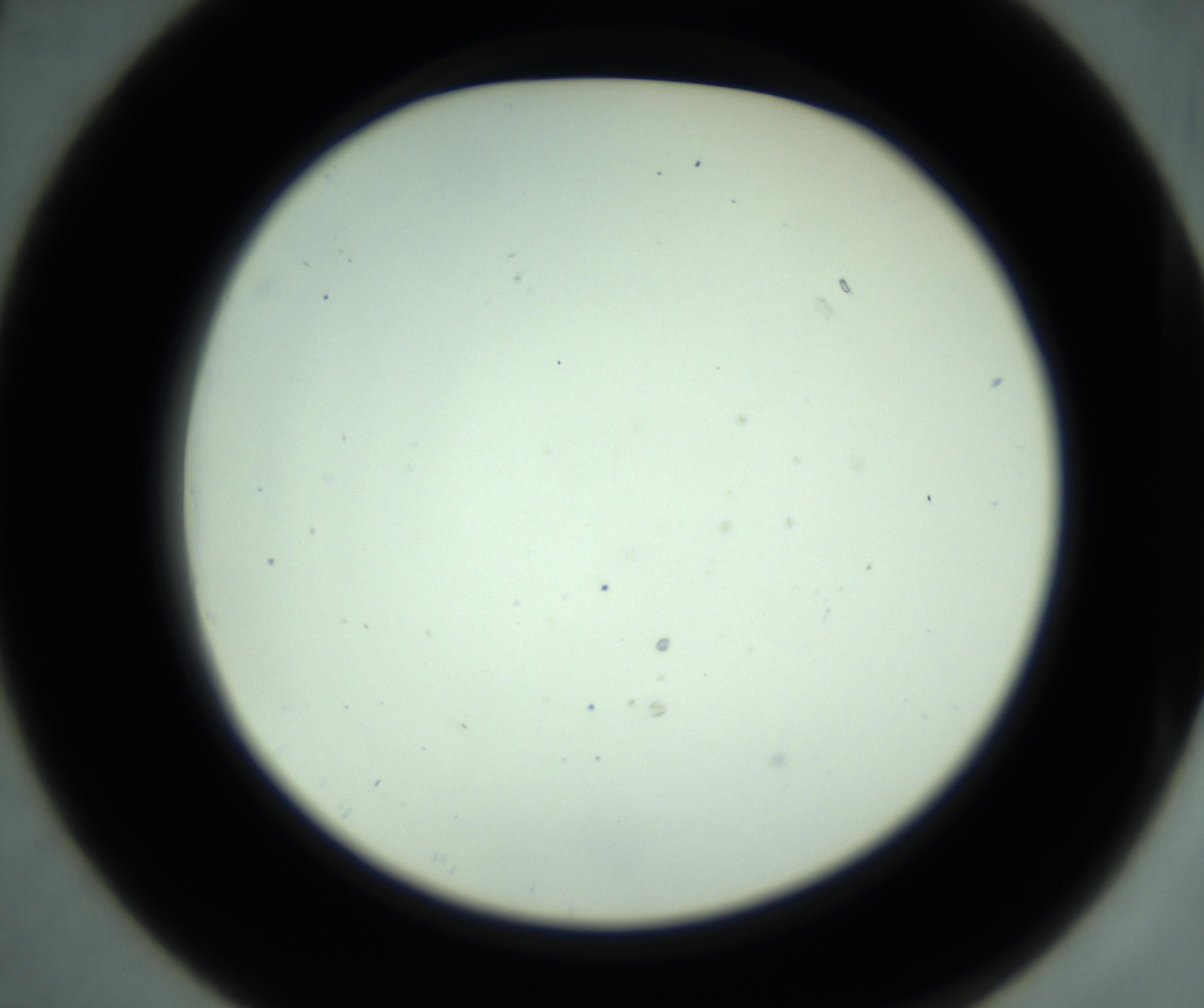 RI01_03_000_0212_Proj1_Clon1_MC_0000MC102880_001_161021_07_02_02_00_98_002_001_RAI.jpg