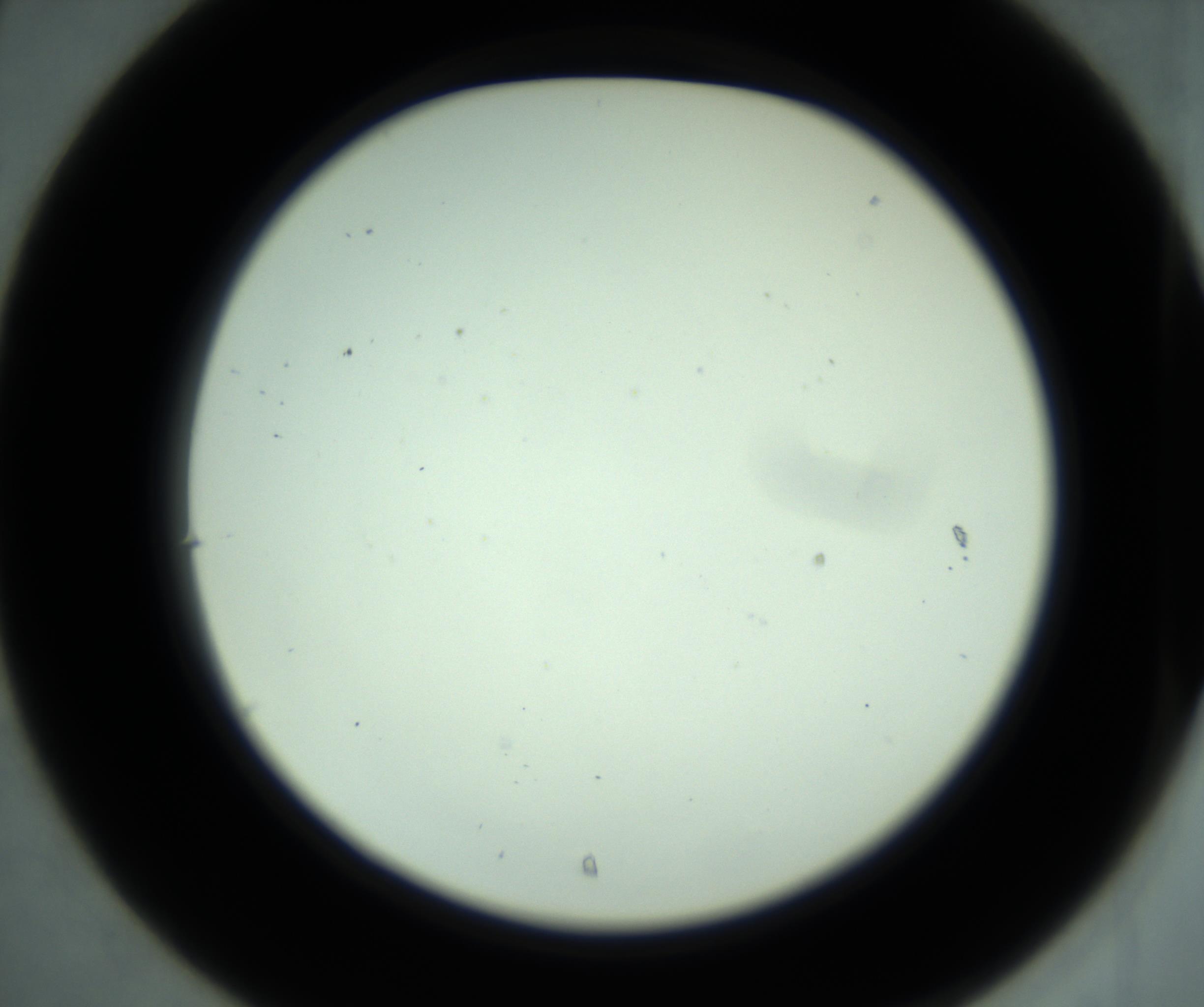 RI01_03_000_0212_Proj1_Clon1_MC_0000MC102880_001_161021_07_03_02_00_98_002_001_RAI.jpg