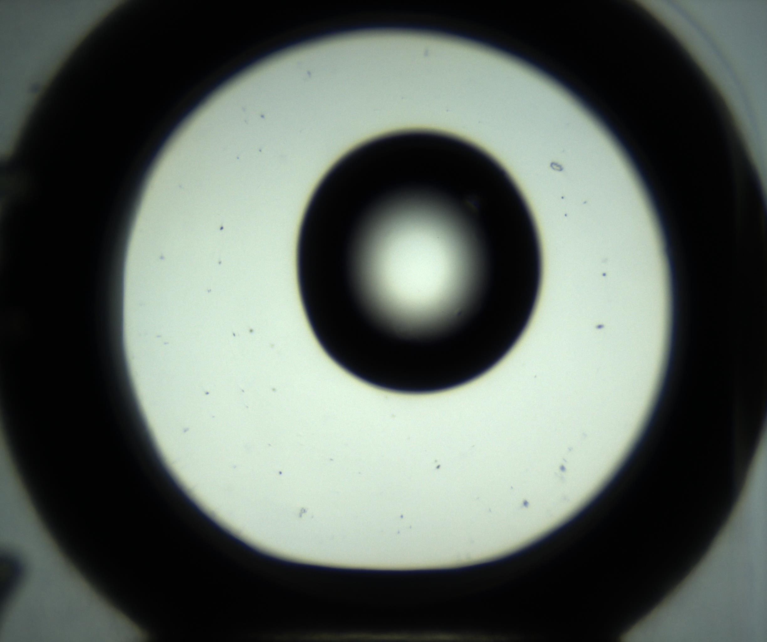 RI01_03_000_0212_Proj1_Clon1_MC_0000MC102880_001_161021_07_05_01_00_98_002_001_RAI.jpg