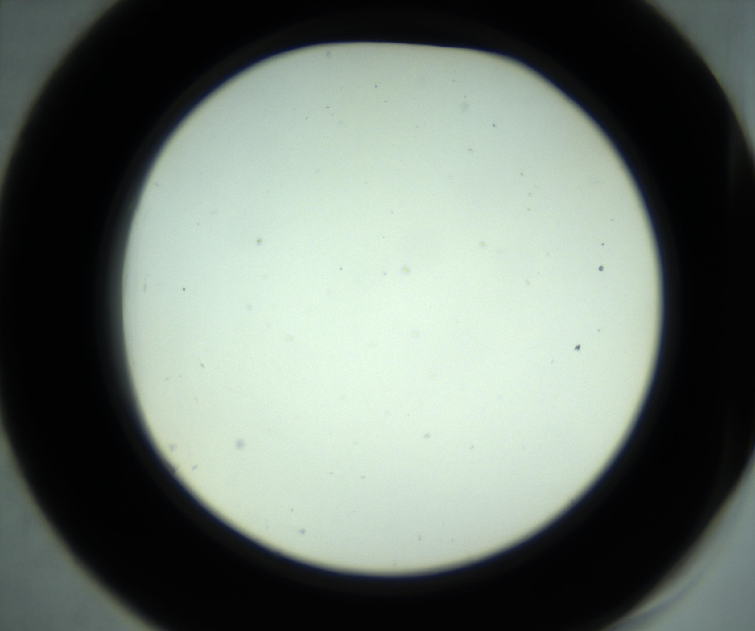 RI01_03_000_0212_Proj1_Clon1_MC_0000MC102880_001_161021_07_05_02_00_98_002_001_RAI.jpg