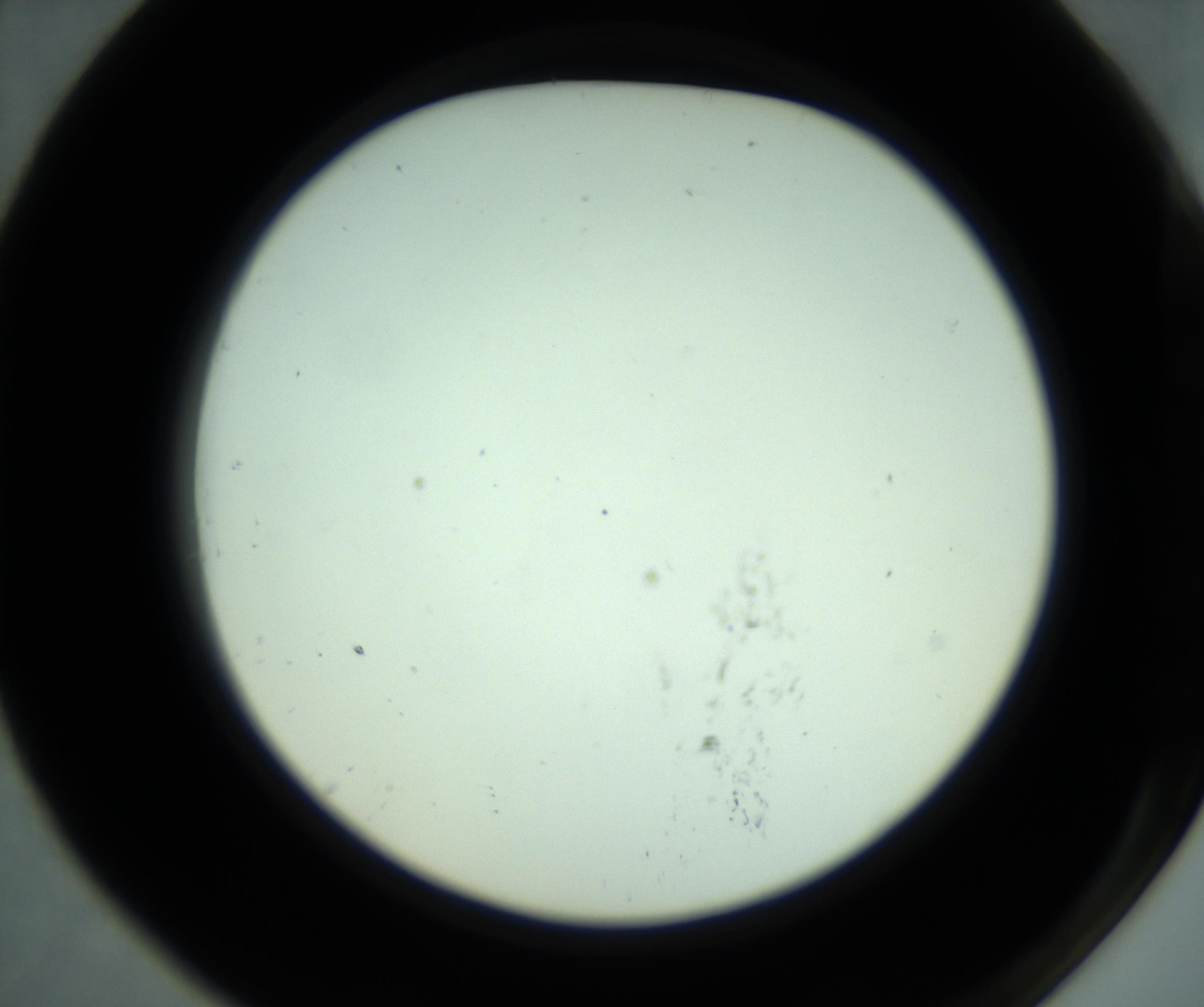 RI01_03_000_0212_Proj1_Clon1_MC_0000MC102880_001_161021_07_07_02_00_98_002_001_RAI.jpg