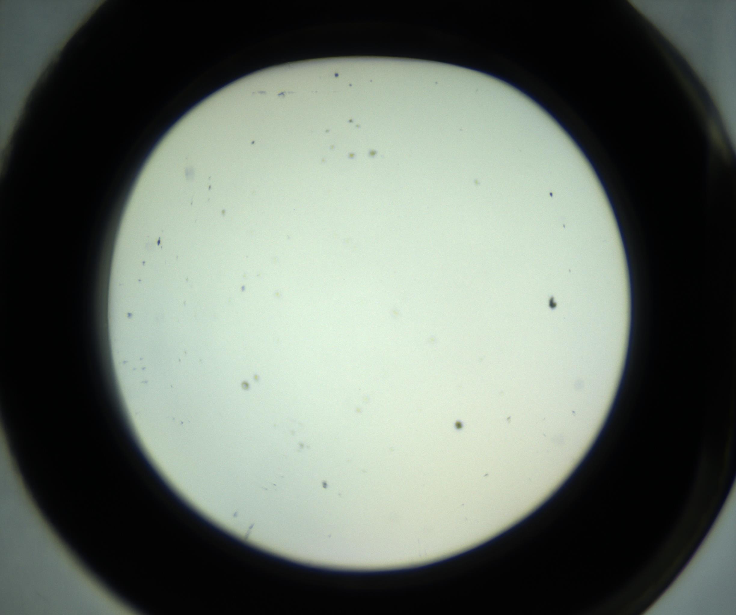 RI01_03_000_0212_Proj1_Clon1_MC_0000MC102880_001_161021_07_08_02_00_98_002_001_RAI.jpg