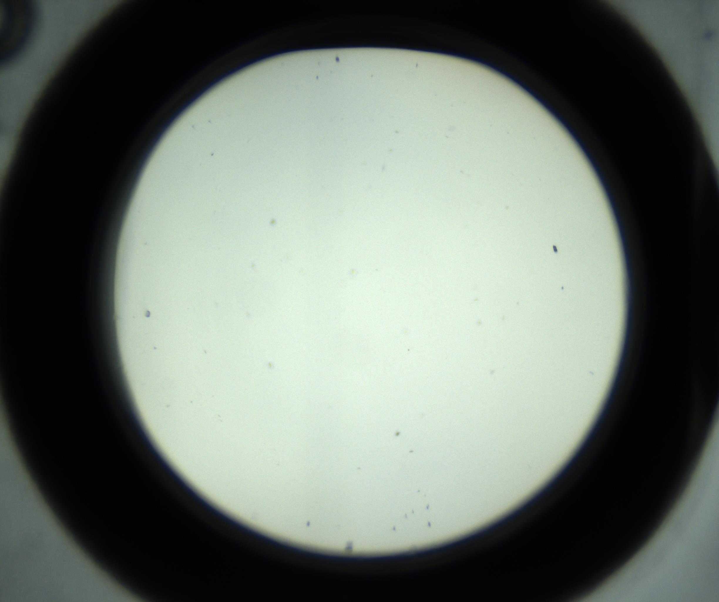 RI01_03_000_0212_Proj1_Clon1_MC_0000MC102880_001_161021_08_02_02_00_98_002_001_RAI.jpg