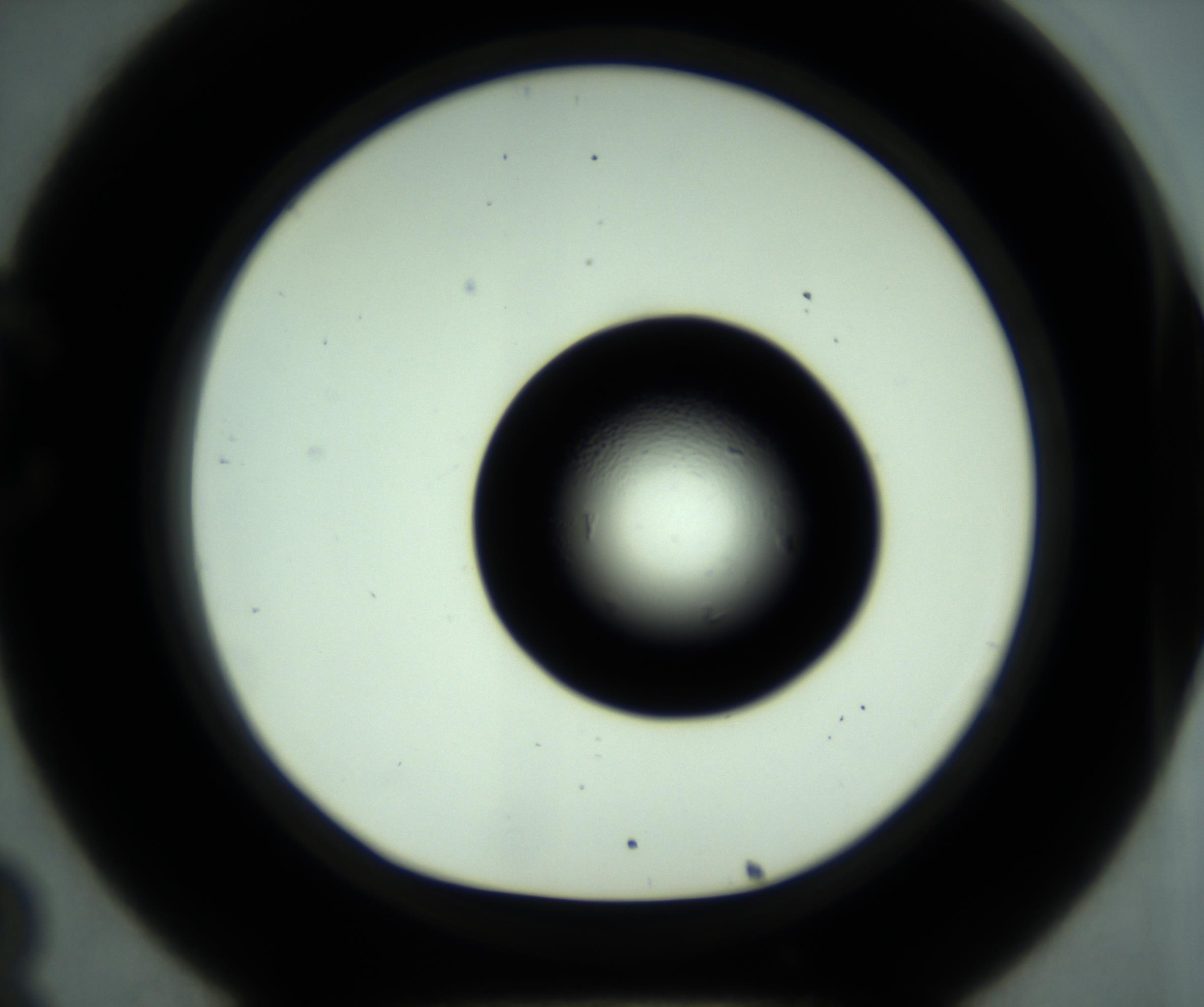 RI01_03_000_0212_Proj1_Clon1_MC_0000MC102880_001_161021_08_03_01_00_98_002_001_RAI.jpg