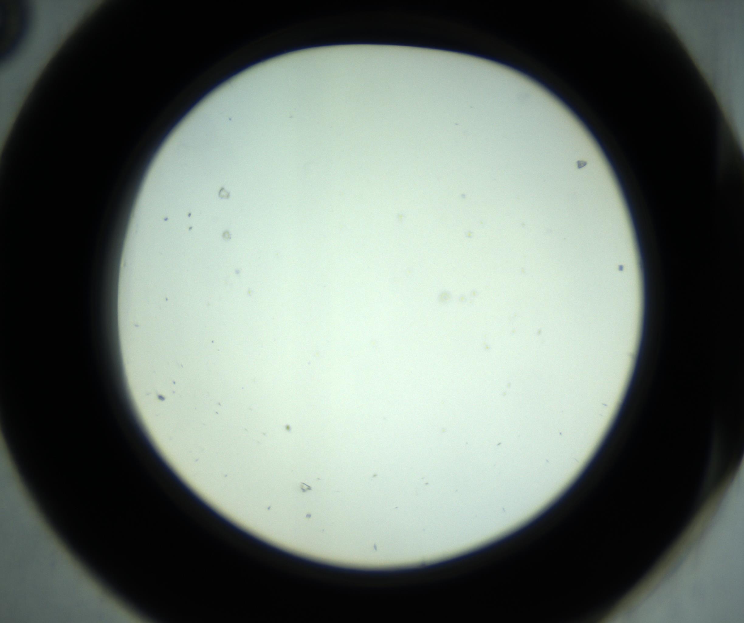 RI01_03_000_0212_Proj1_Clon1_MC_0000MC102880_001_161021_08_06_02_00_98_002_001_RAI.jpg