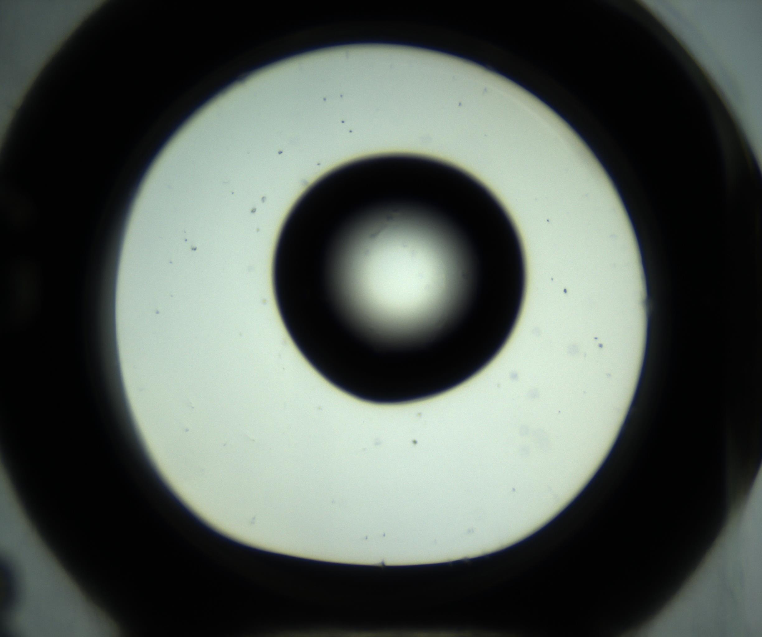 RI01_03_000_0212_Proj1_Clon1_MC_0000MC102880_001_161021_08_07_01_00_98_002_001_RAI.jpg