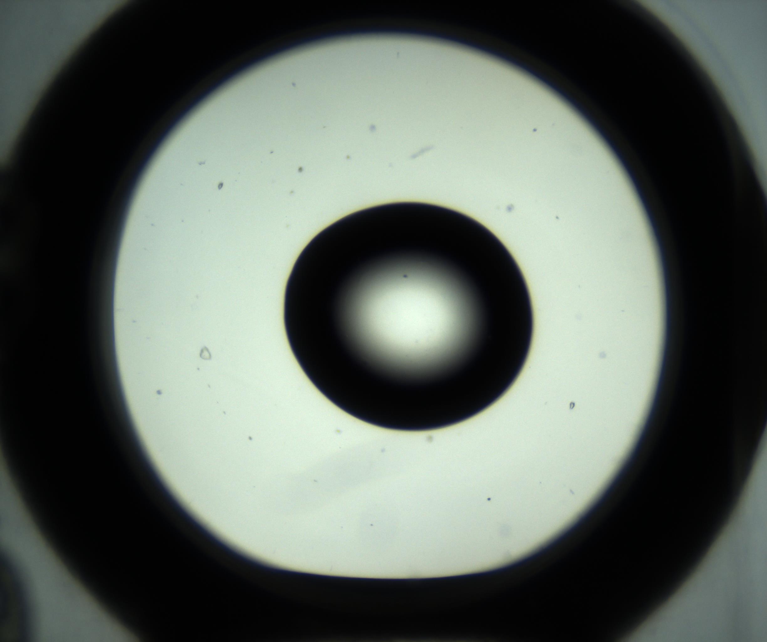 RI01_03_000_0212_Proj1_Clon1_MC_0000MC102880_001_161021_09_02_01_00_98_002_001_RAI.jpg