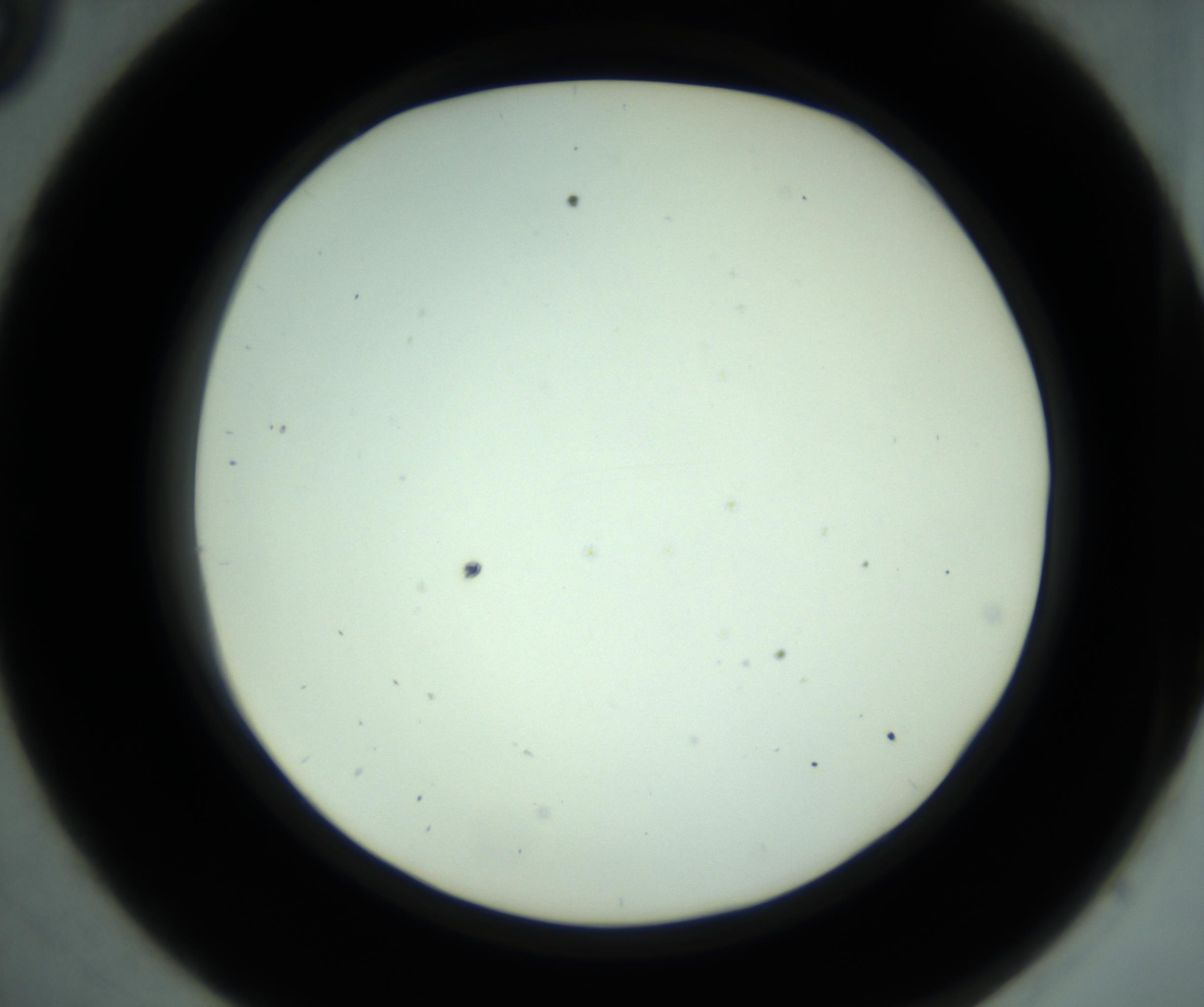 RI01_03_000_0212_Proj1_Clon1_MC_0000MC102880_001_161021_09_03_02_00_98_002_001_RAI.jpg