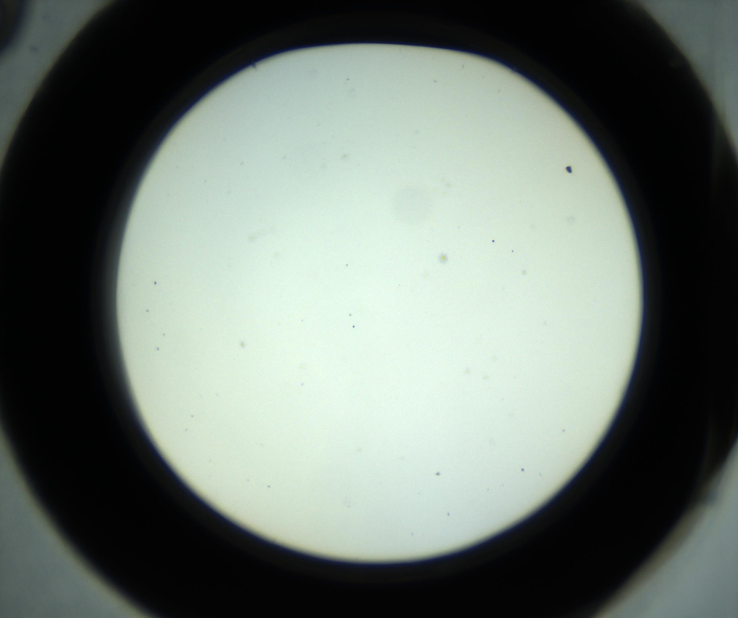 RI01_03_000_0212_Proj1_Clon1_MC_0000MC102880_001_161021_09_05_02_00_98_002_001_RAI.jpg