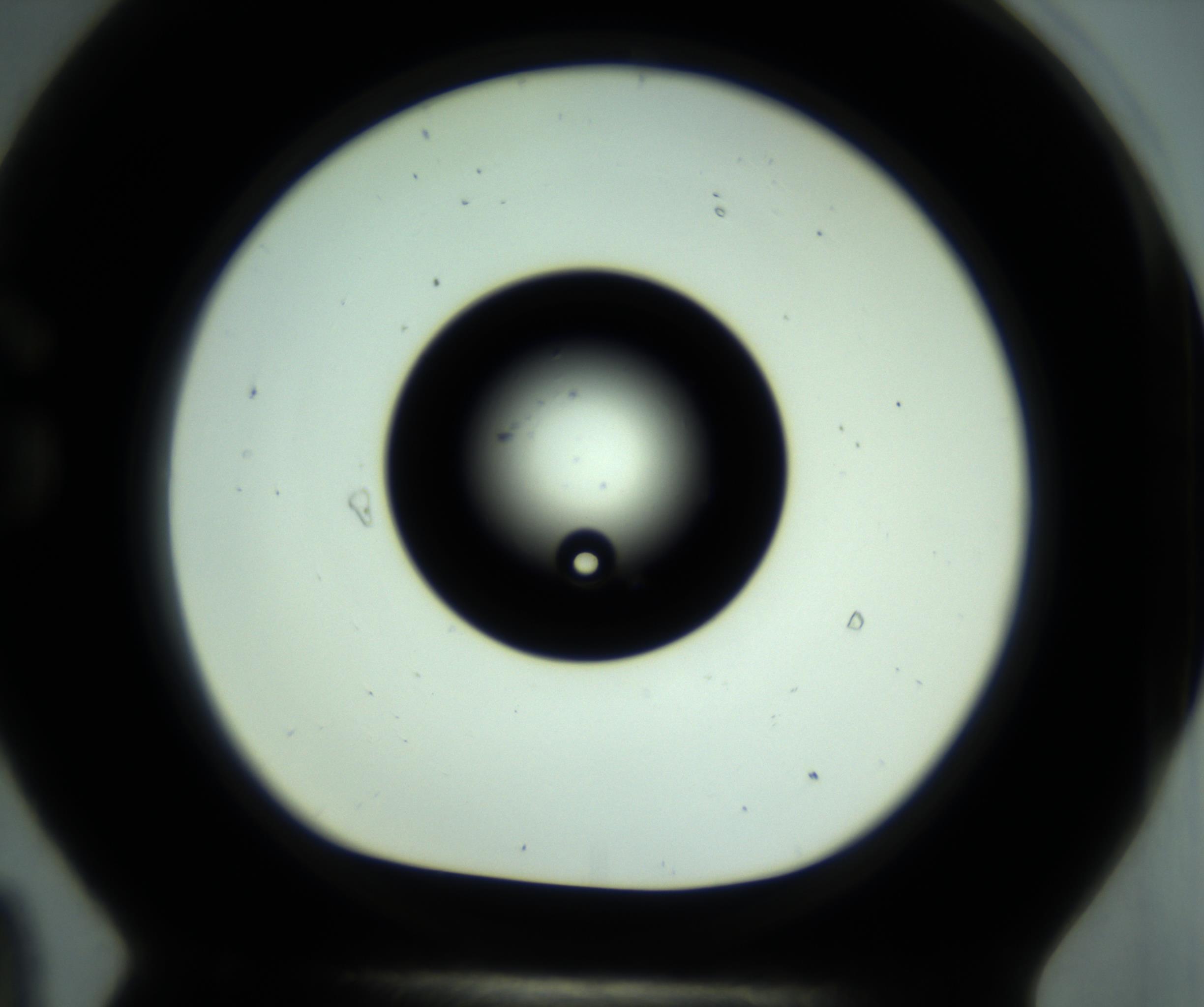 RI01_03_000_0212_Proj1_Clon1_MC_0000MC102880_001_161021_09_07_01_00_98_002_001_RAI.jpg