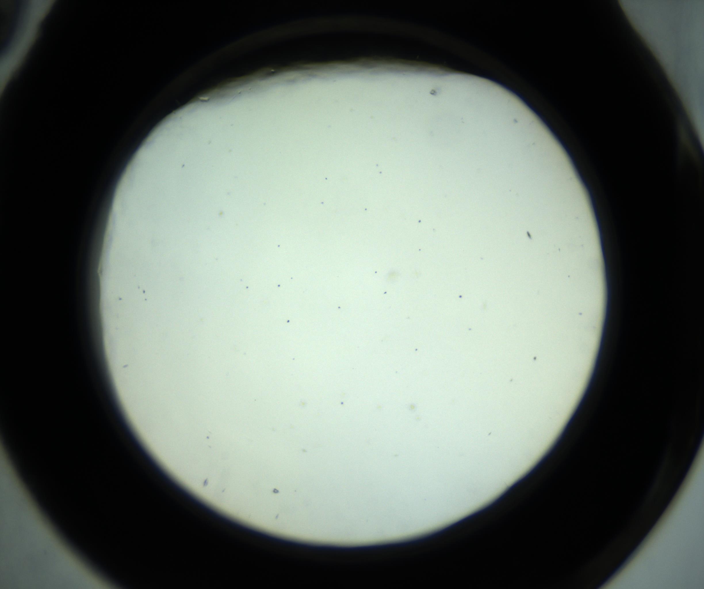RI01_03_000_0212_Proj1_Clon1_MC_0000MC102880_001_161021_09_07_02_00_98_002_001_RAI.jpg