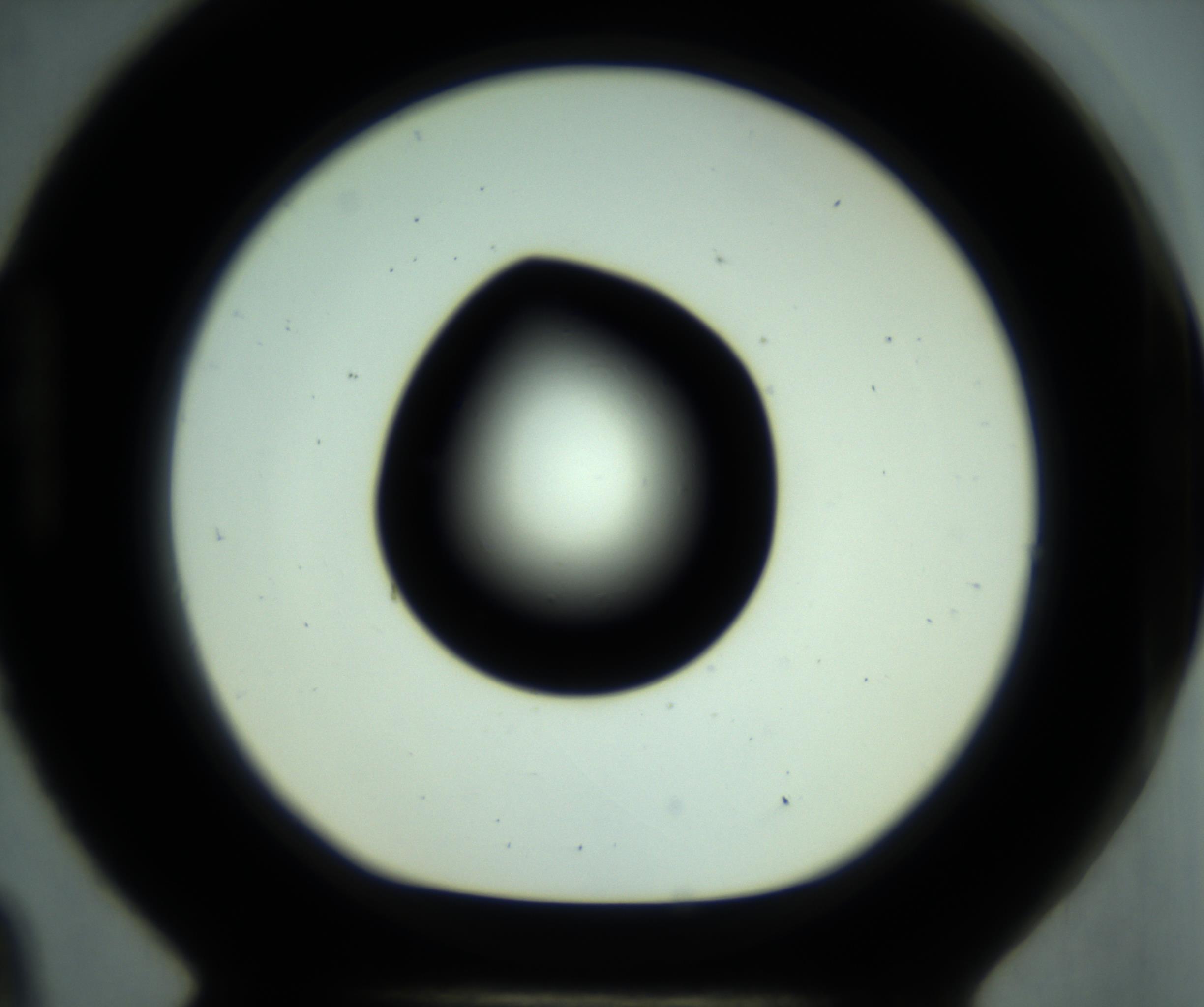RI01_03_000_0212_Proj1_Clon1_MC_0000MC102880_001_161021_09_08_01_00_98_002_001_RAI.jpg
