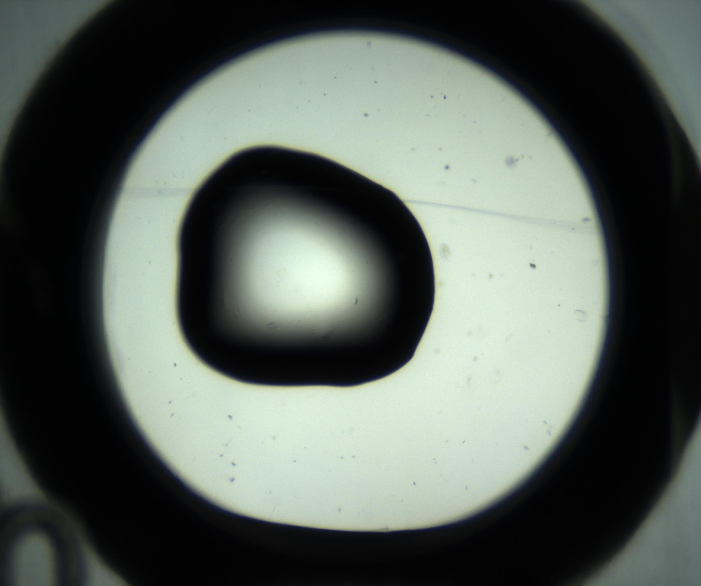 RI01_03_000_0212_Proj1_Clon1_MC_0000MC102880_001_161021_10_01_01_00_98_002_001_RAI.jpg