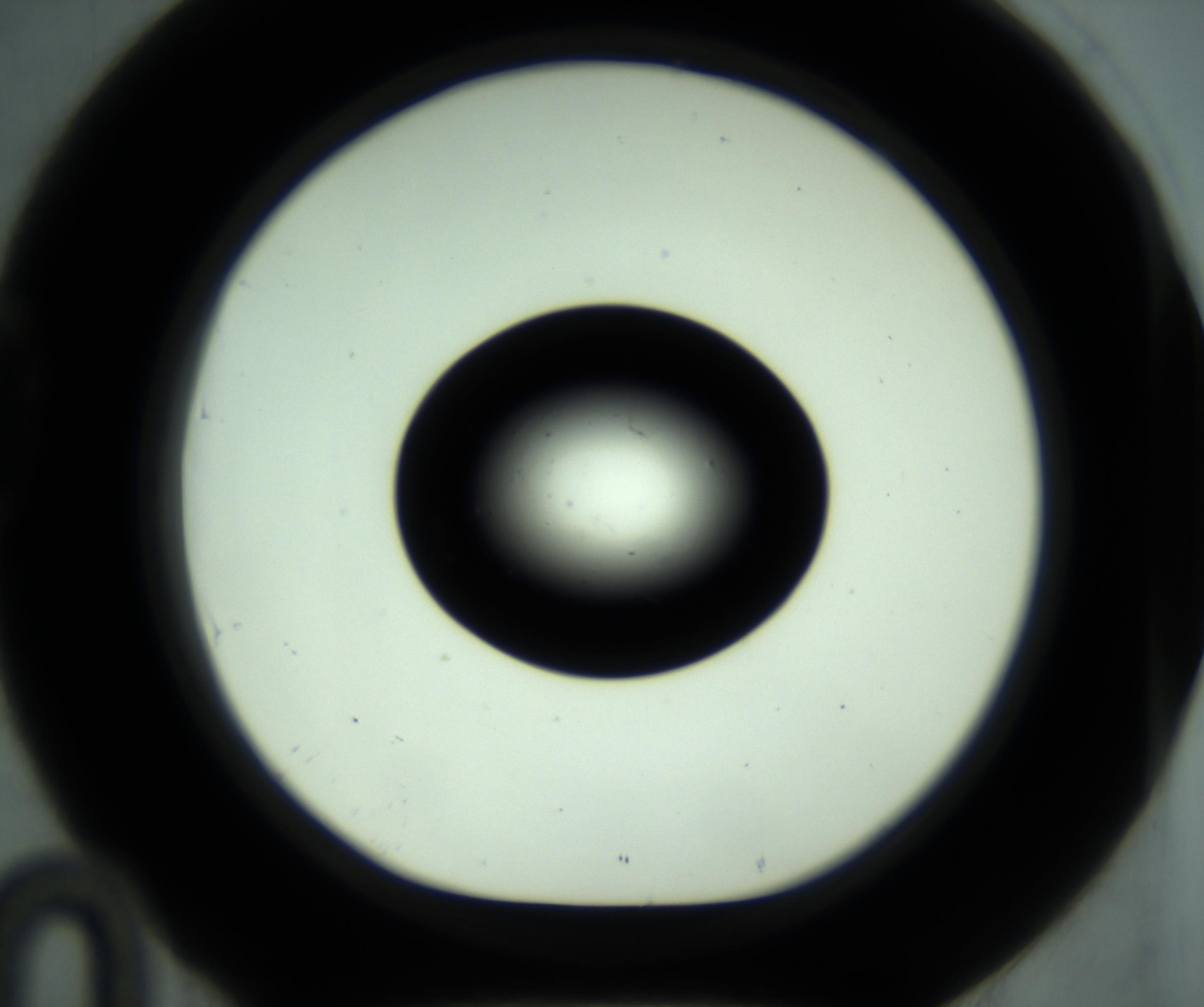 RI01_03_000_0212_Proj1_Clon1_MC_0000MC102880_001_161021_10_04_01_00_98_002_001_RAI.jpg