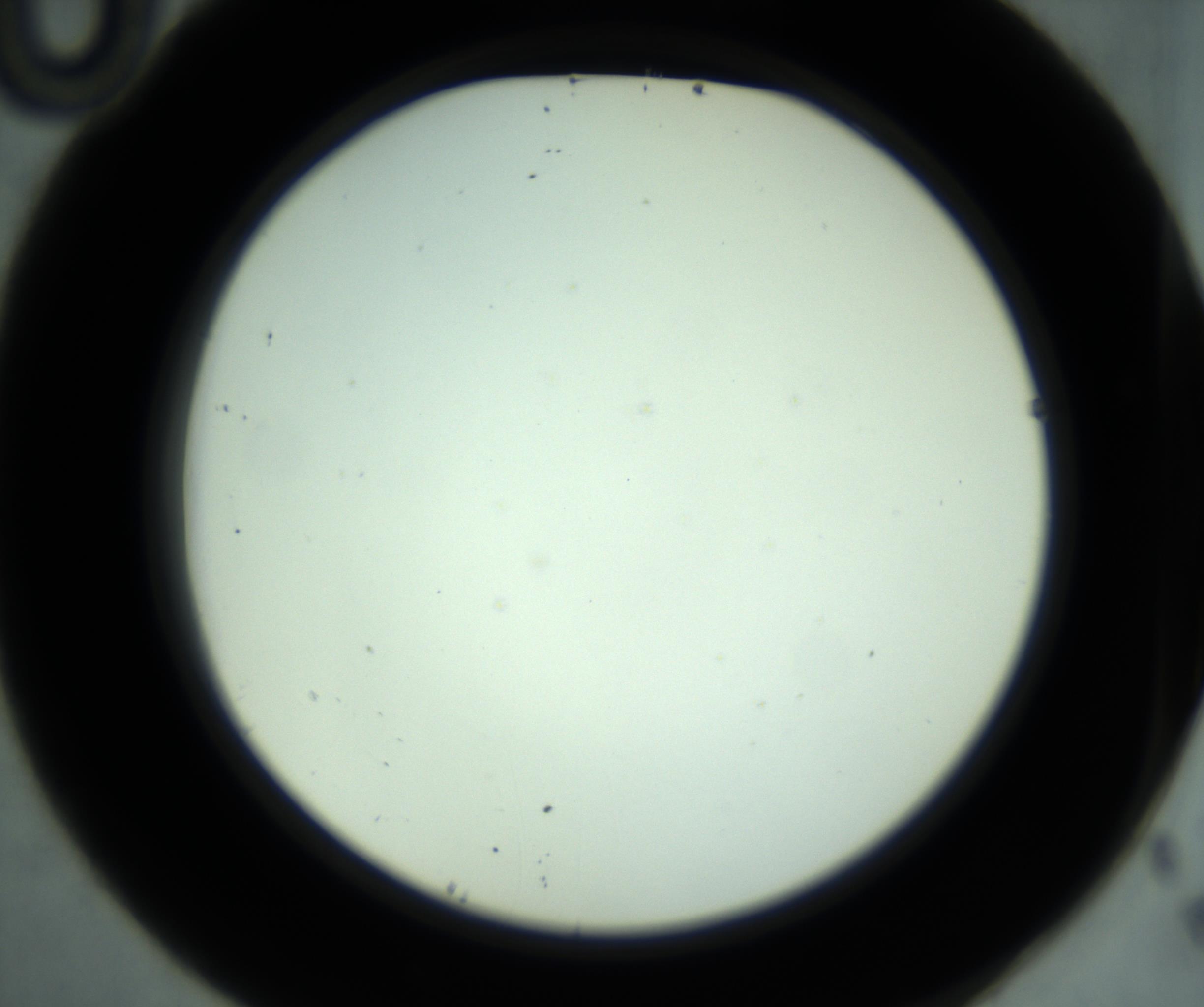 RI01_03_000_0212_Proj1_Clon1_MC_0000MC102880_001_161021_10_04_02_00_98_002_001_RAI.jpg